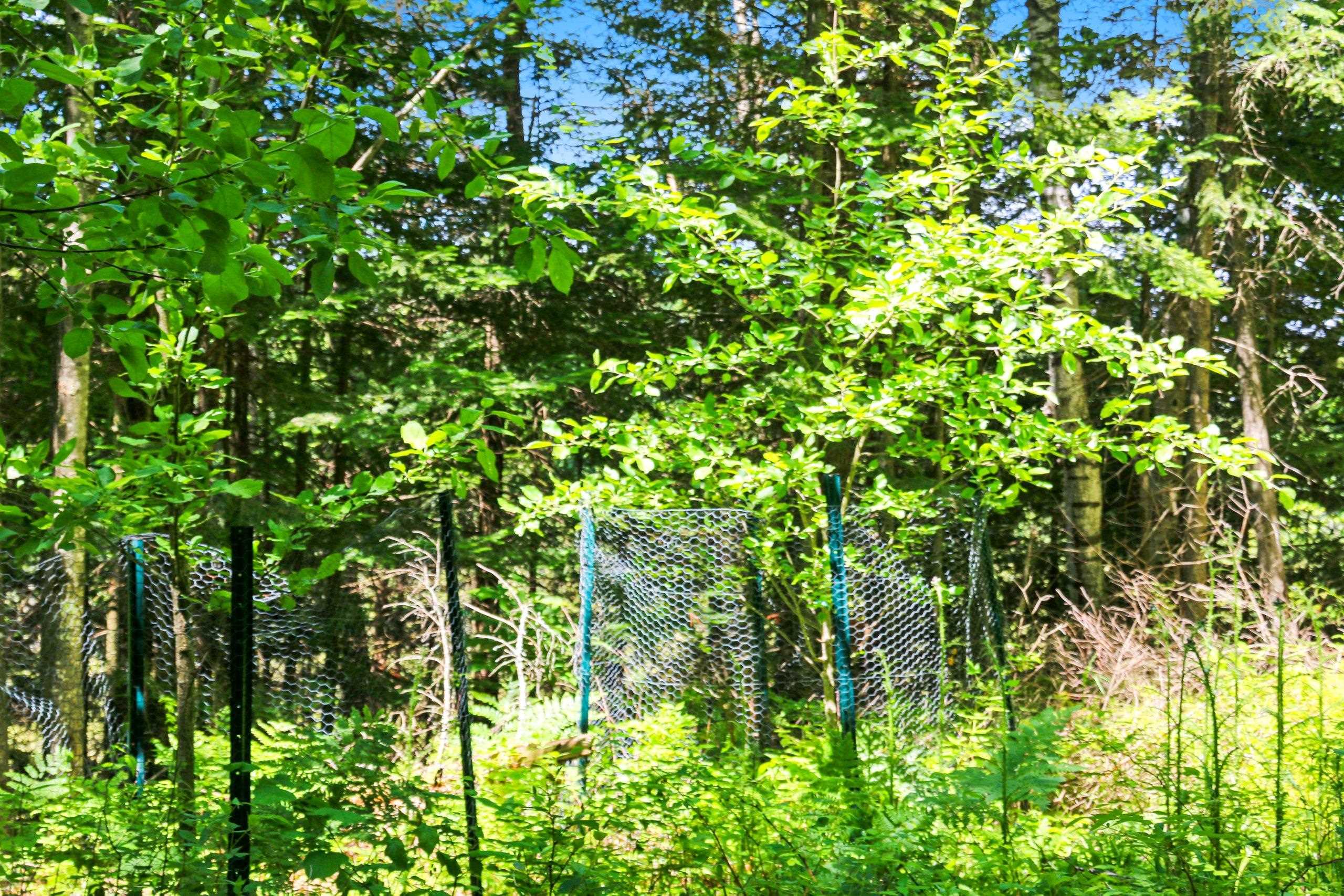Property photo 31