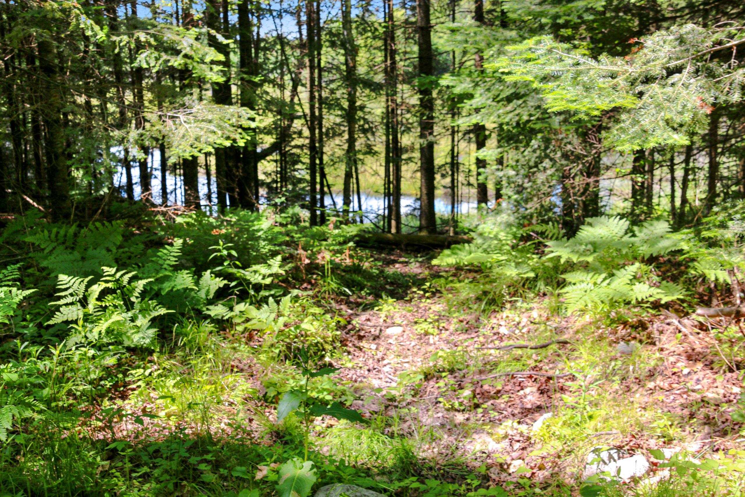 Property photo 33