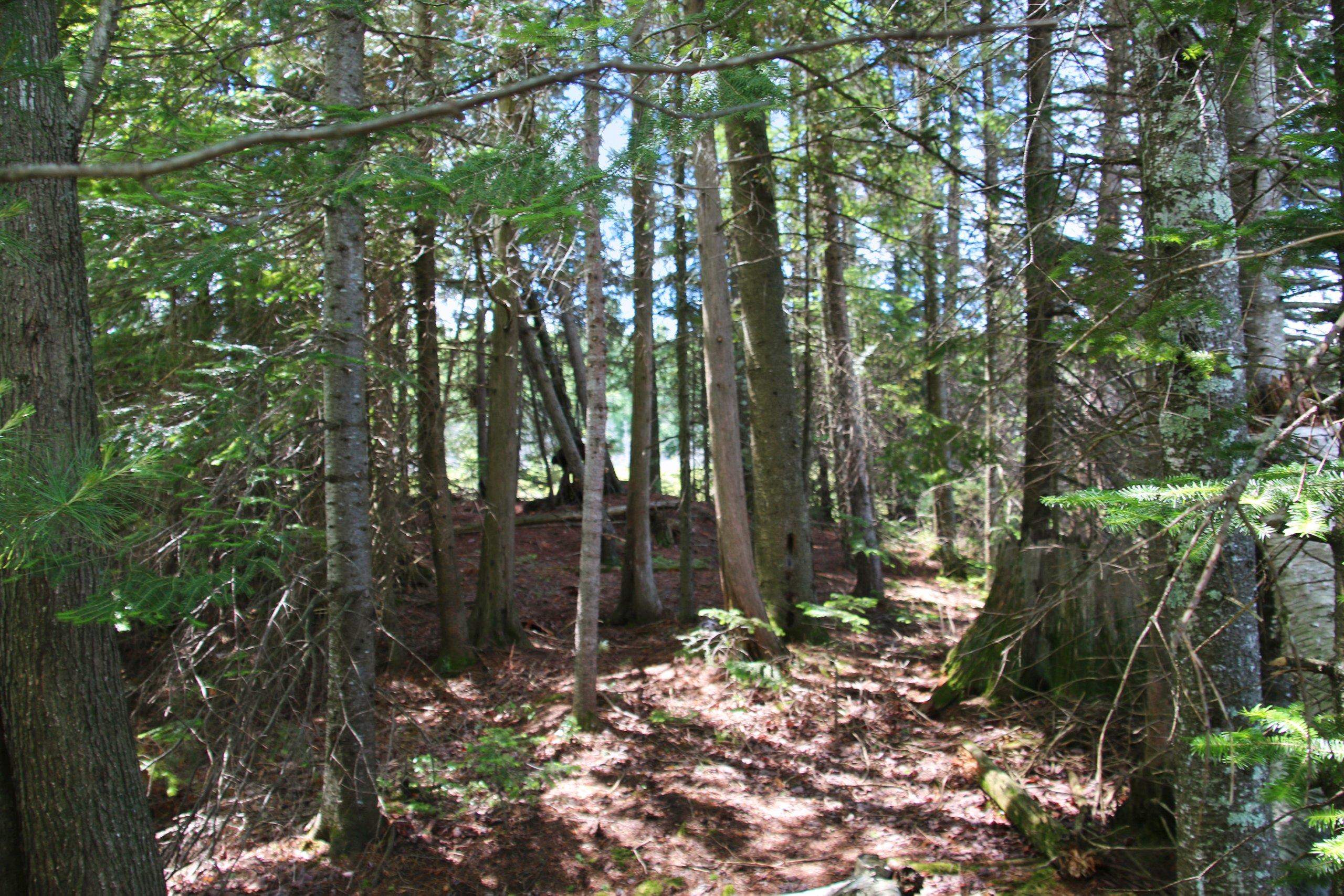 Property photo 37