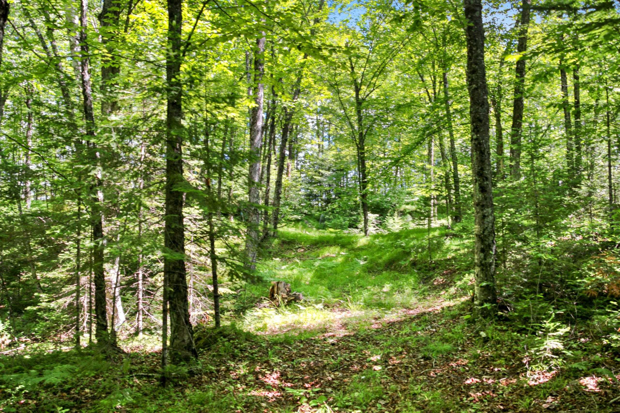 Property photo 41