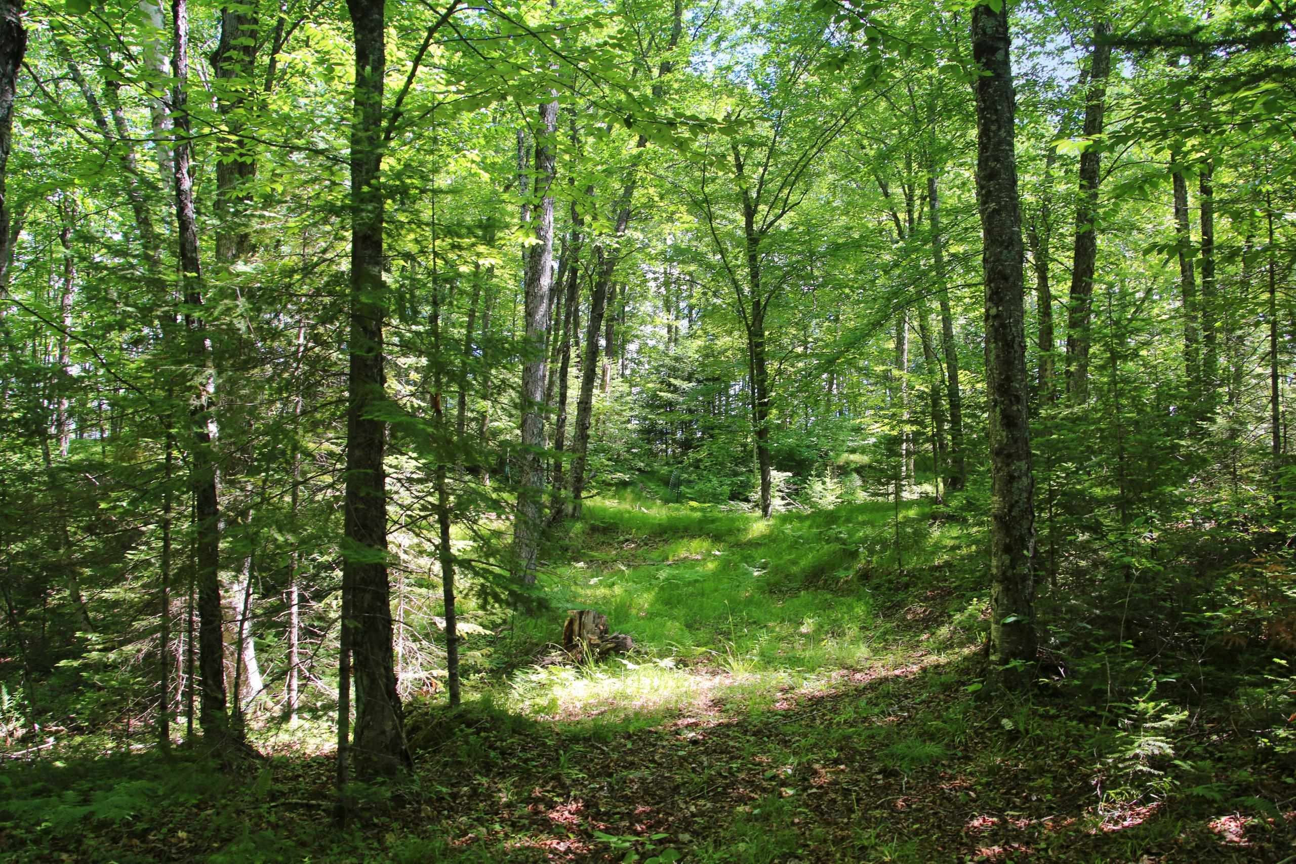 Property photo 42