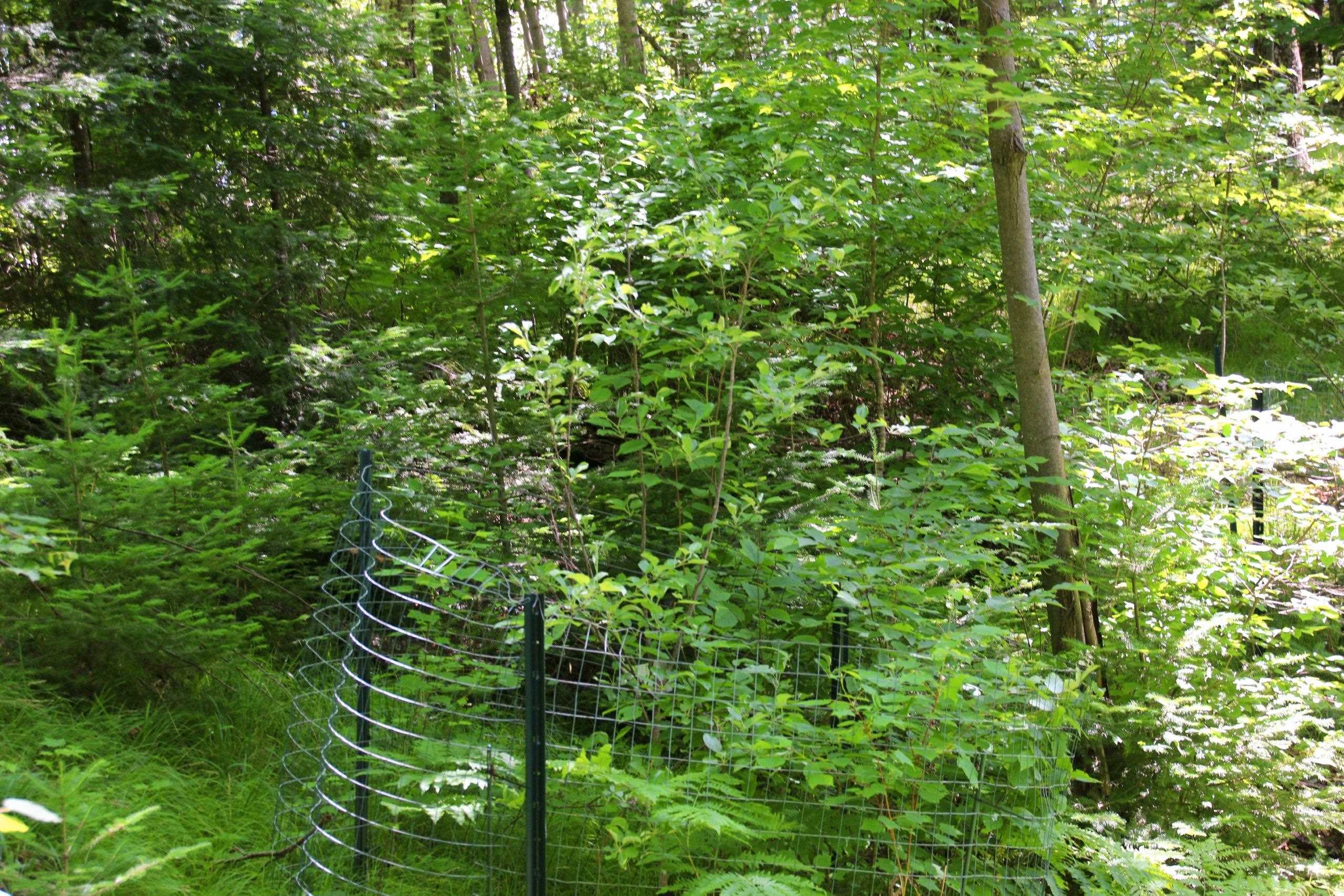 Property photo 43