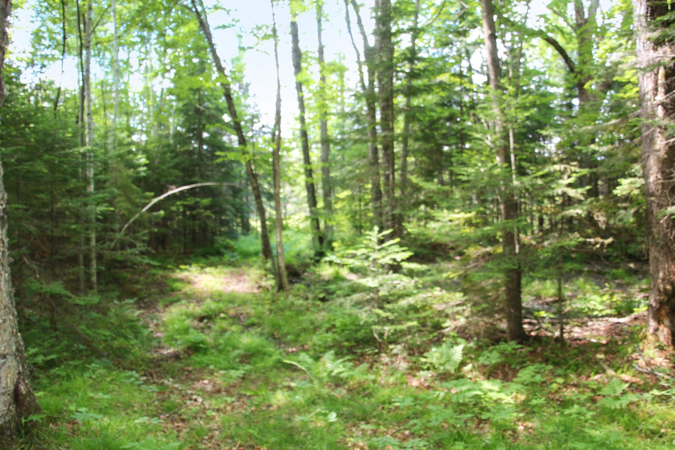 Property photo 45