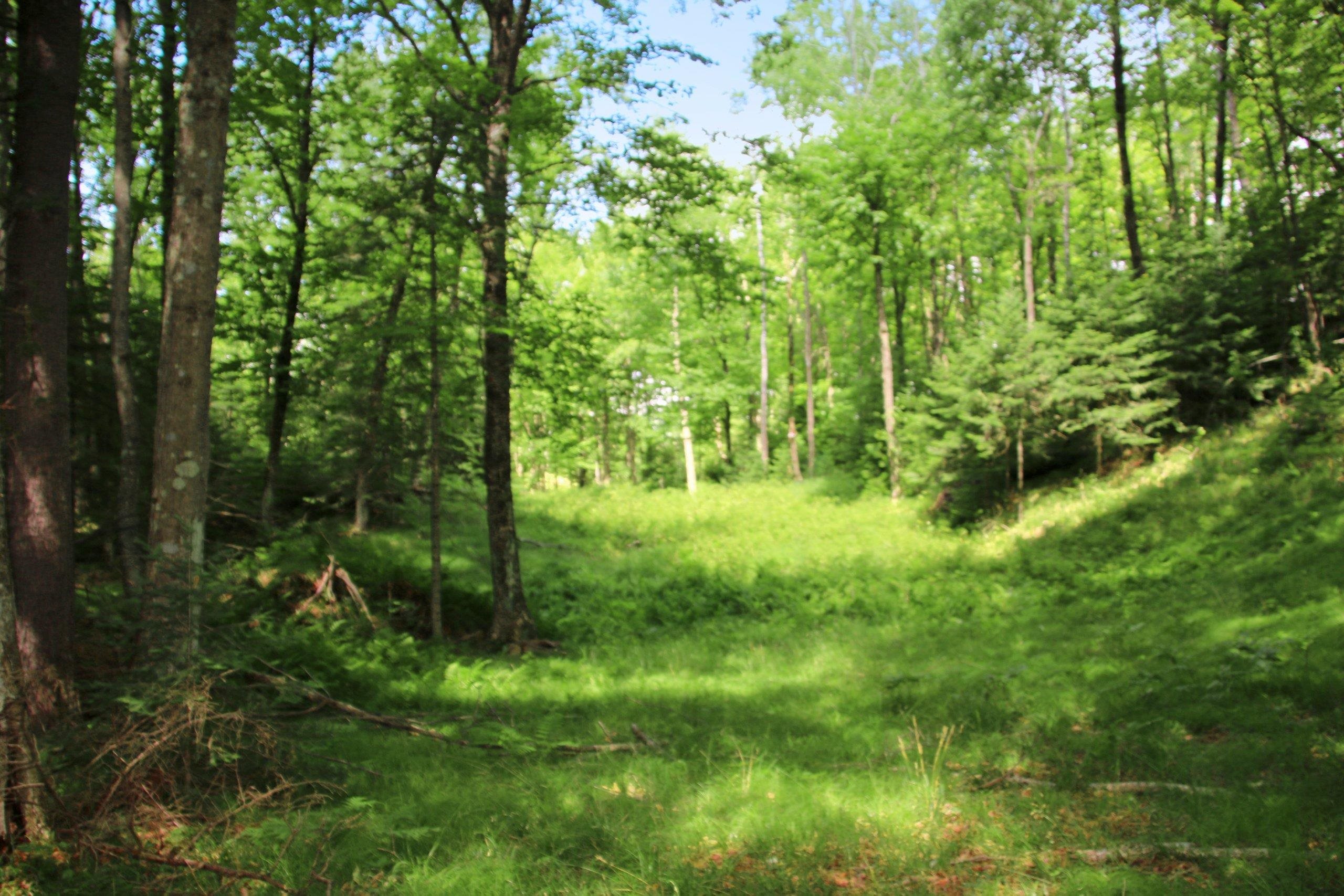 Property photo 46