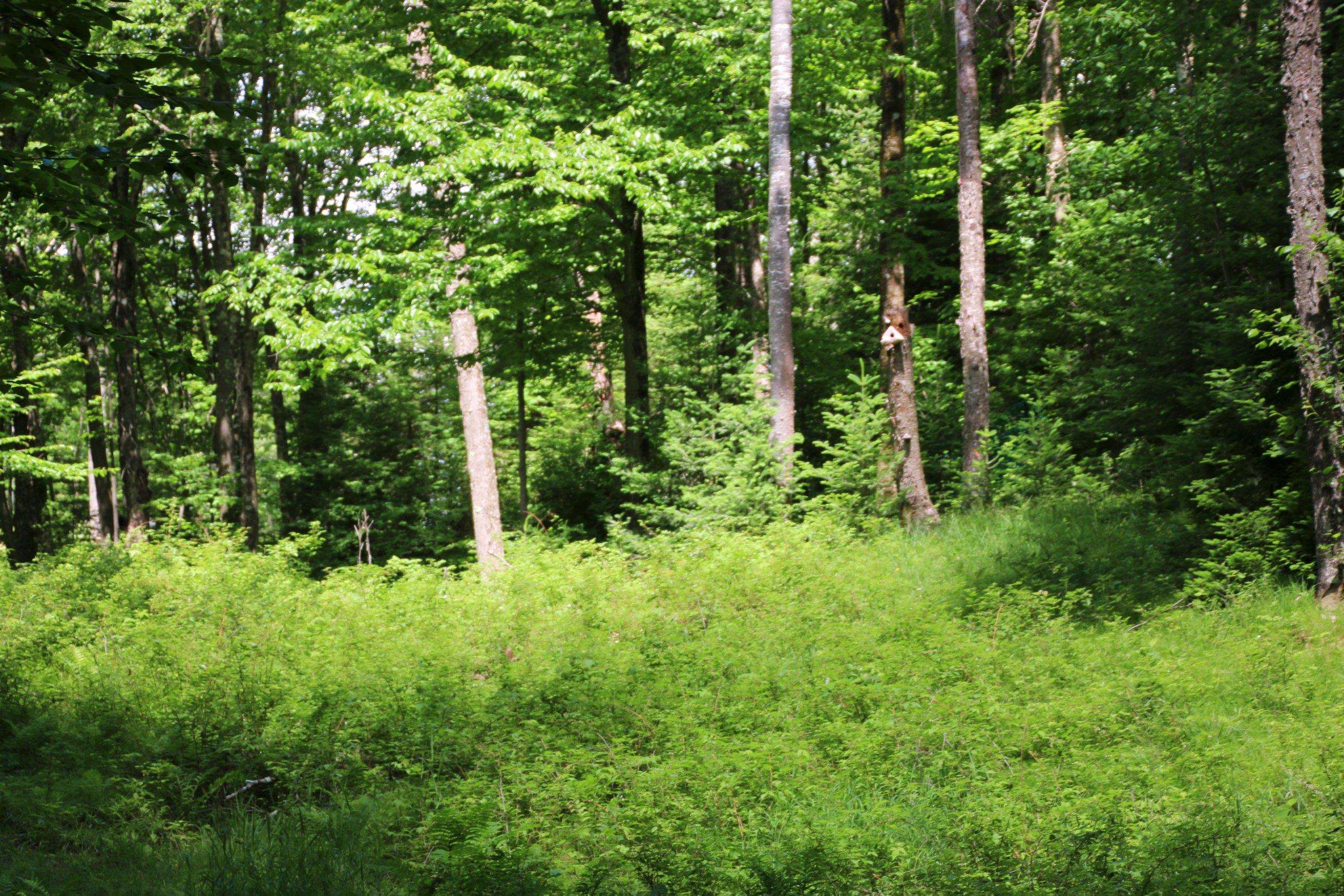 Property photo 47