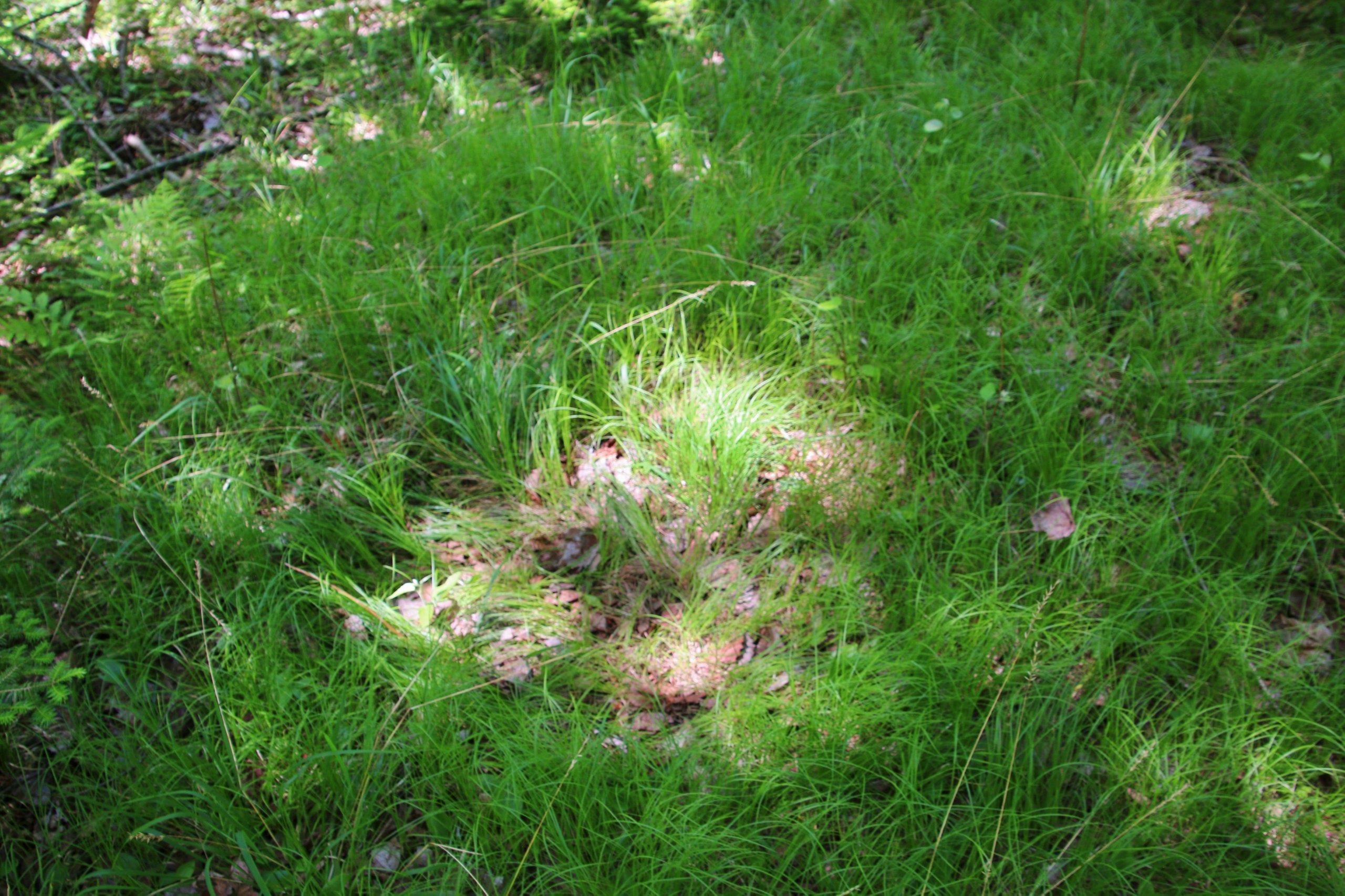 Property photo 56