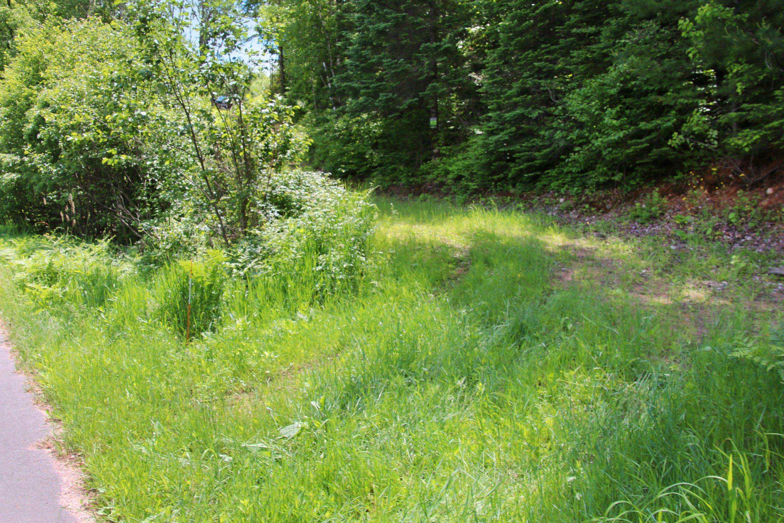 Property photo 58