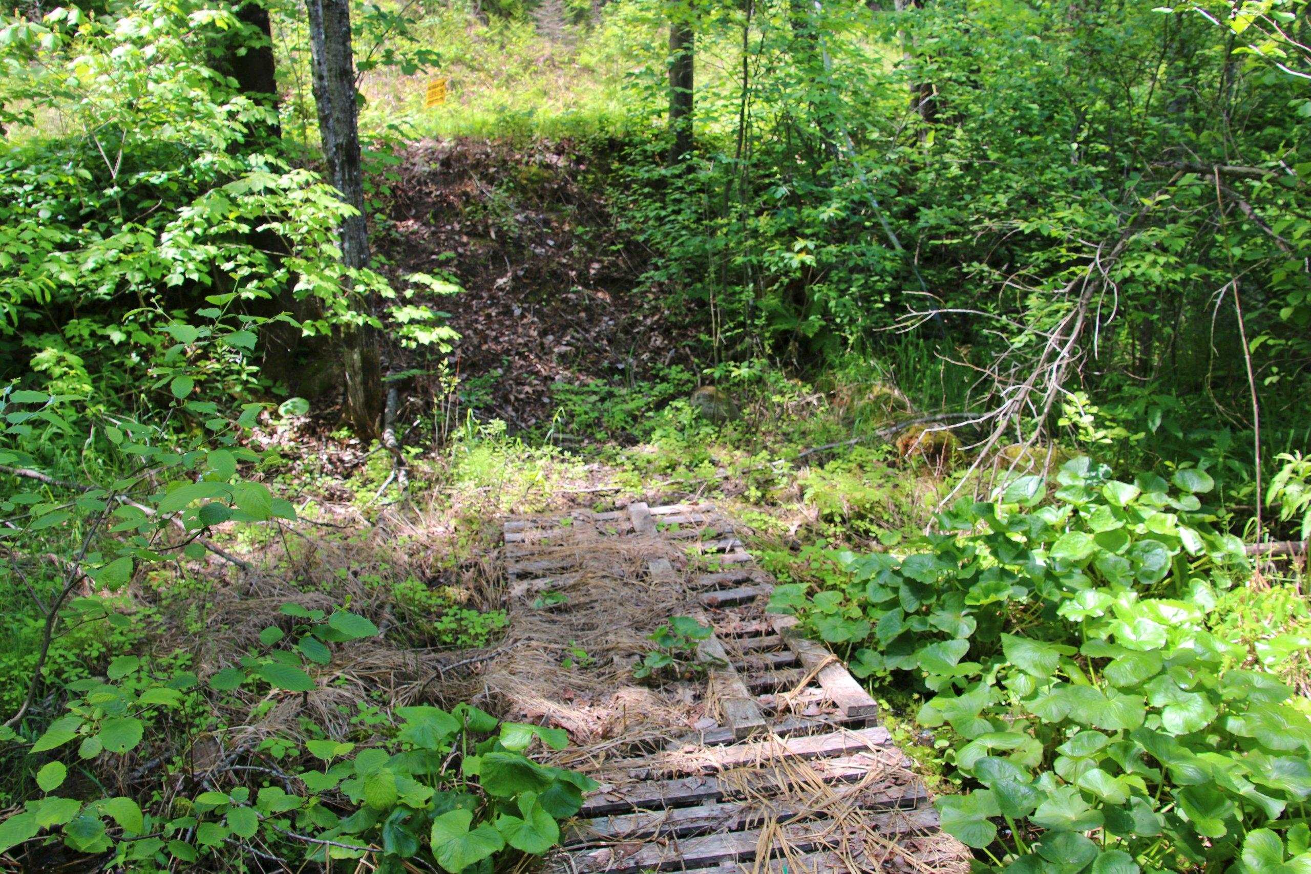 Property photo 61