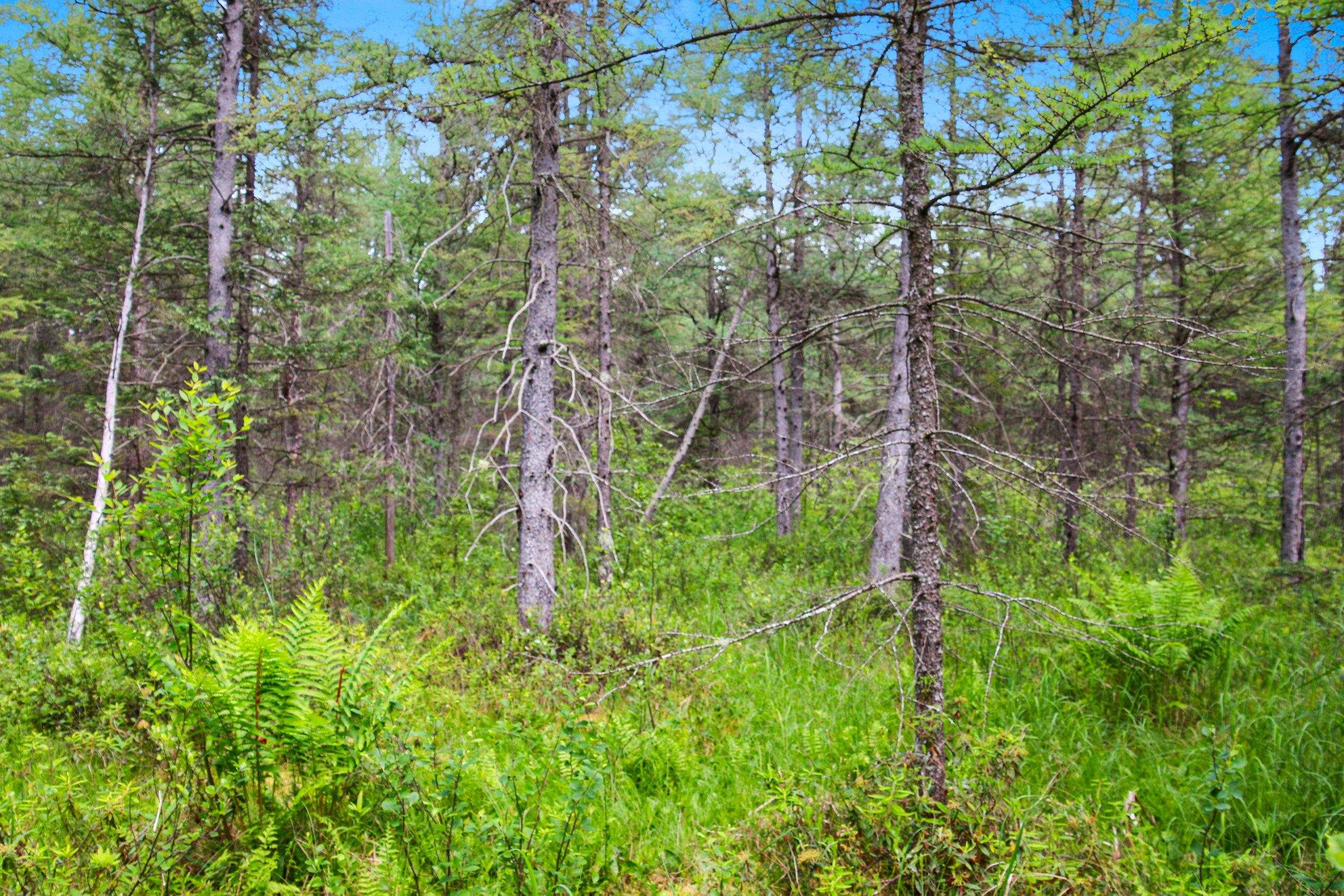 Property photo 67