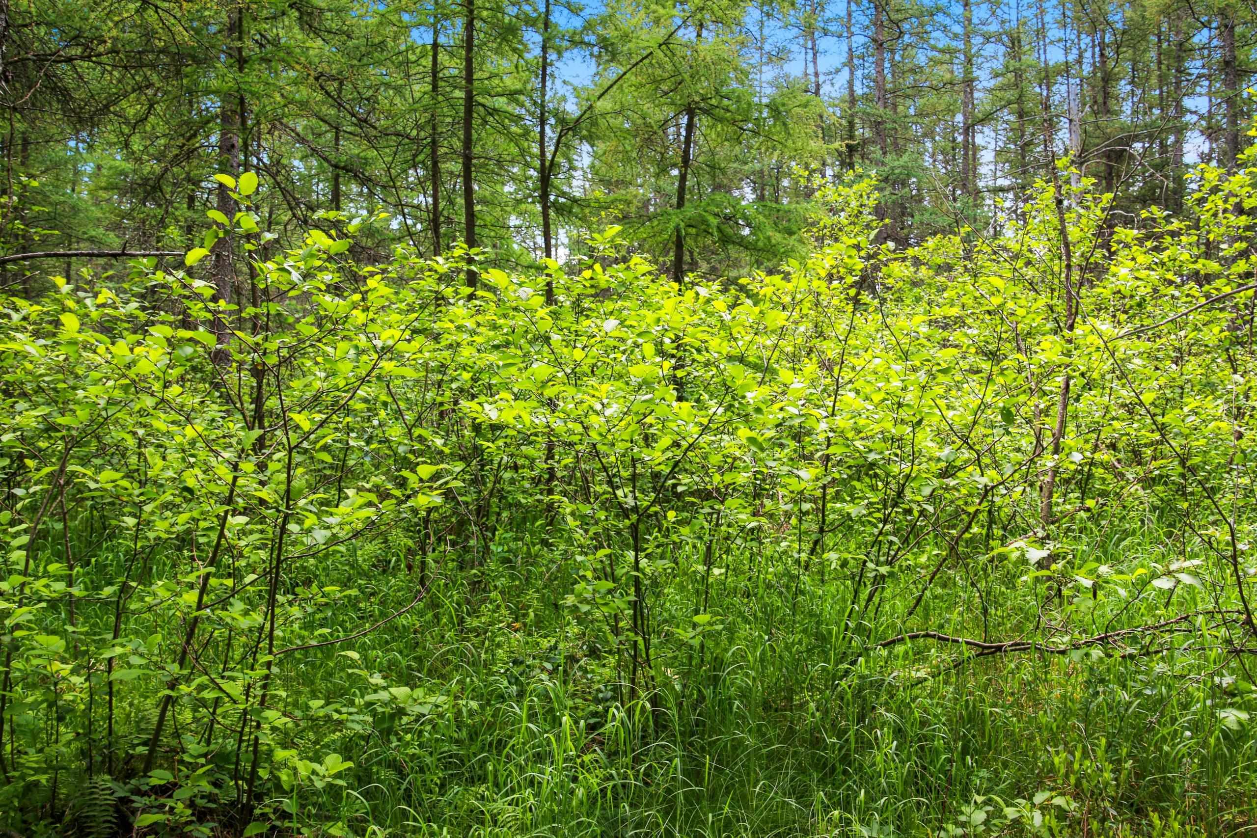 Property photo 68