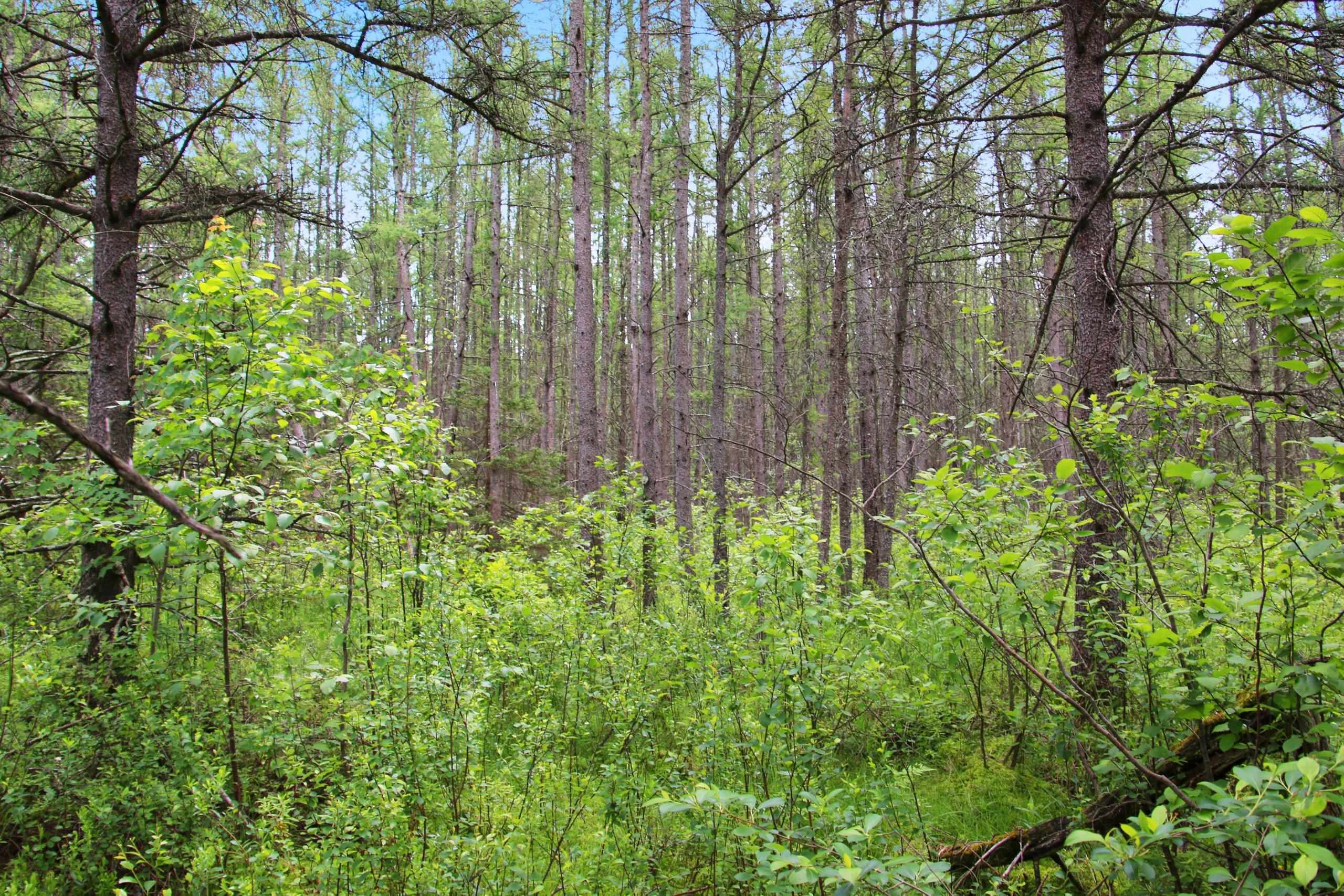 Property photo 69