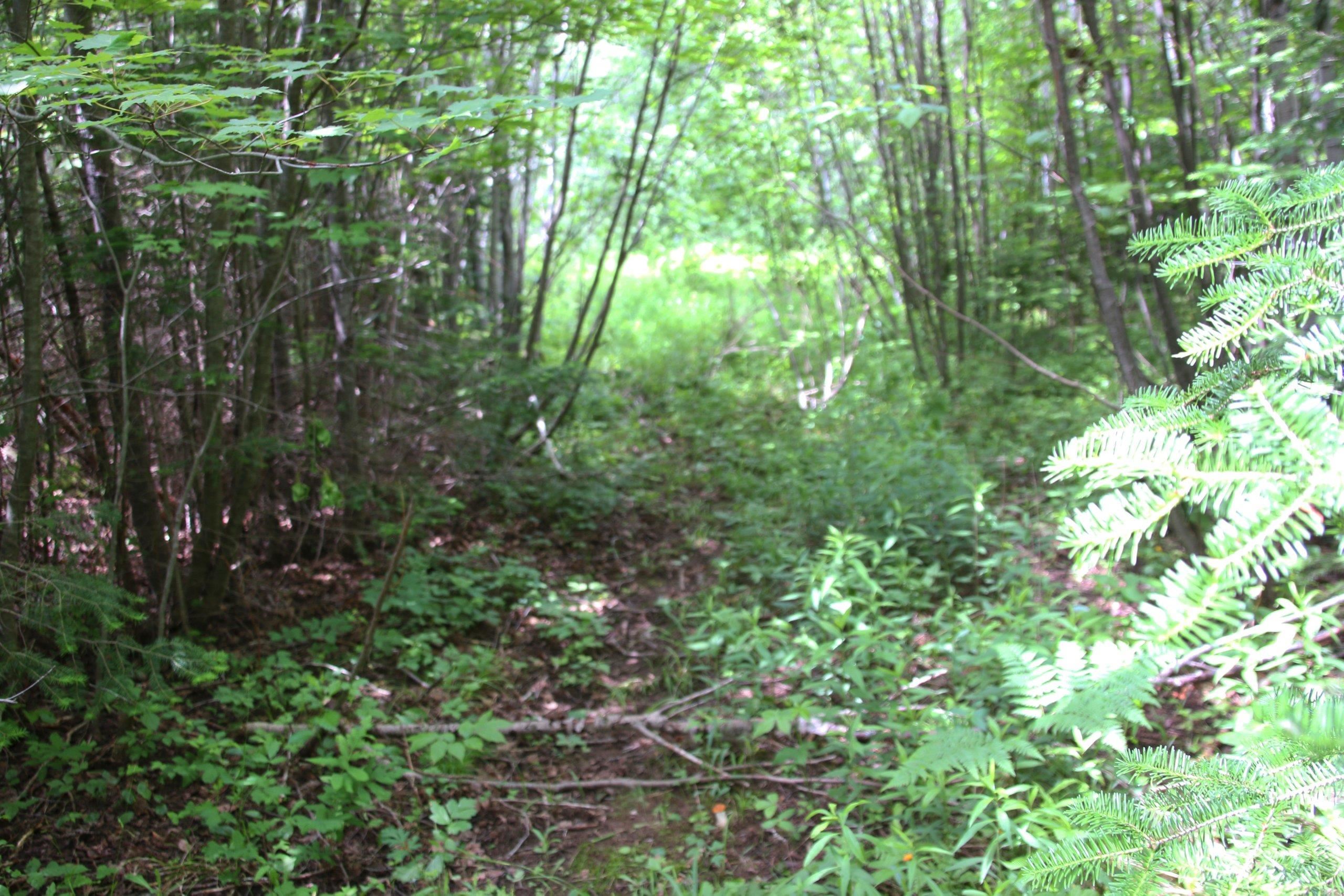 Property photo 74