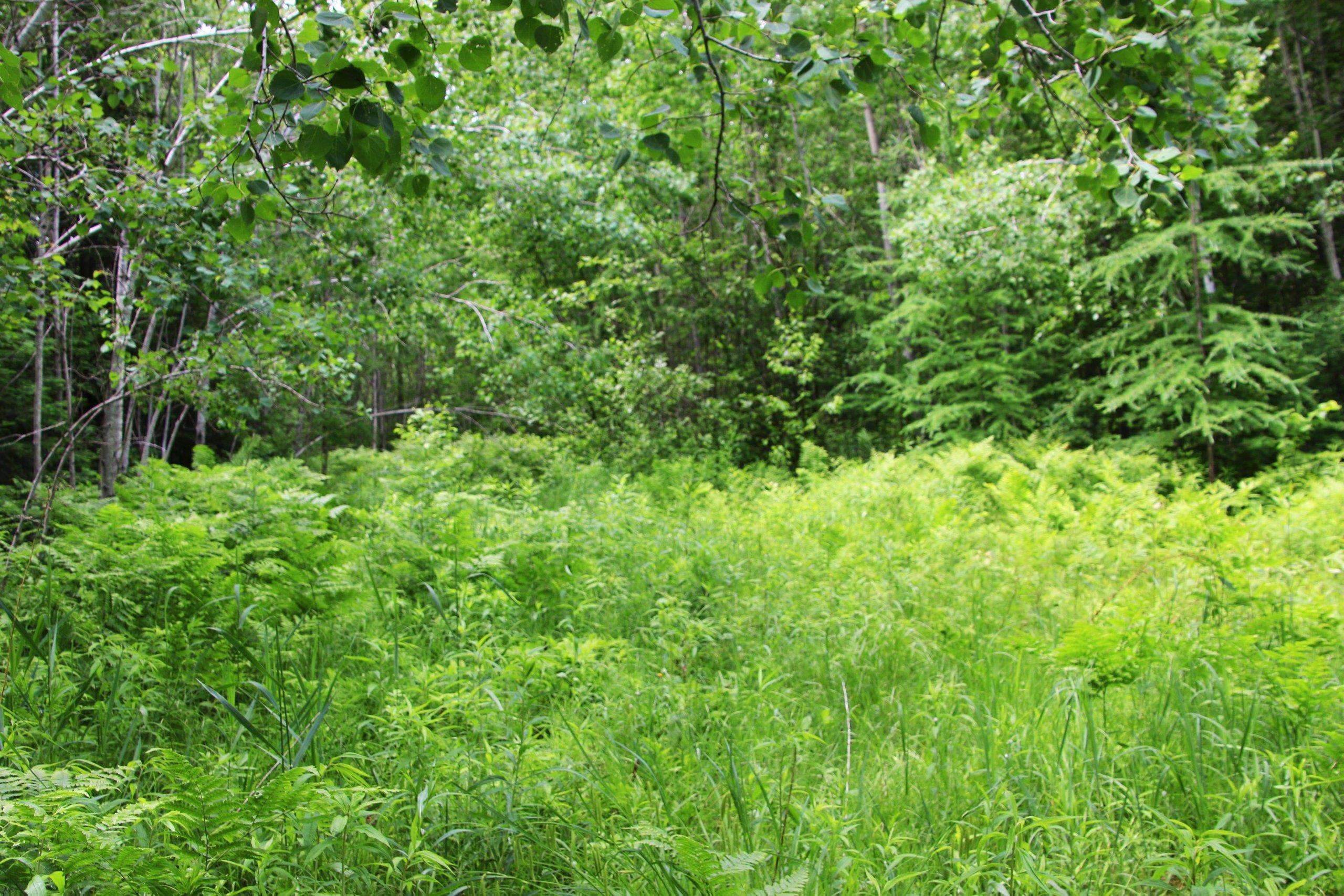 Property photo 76