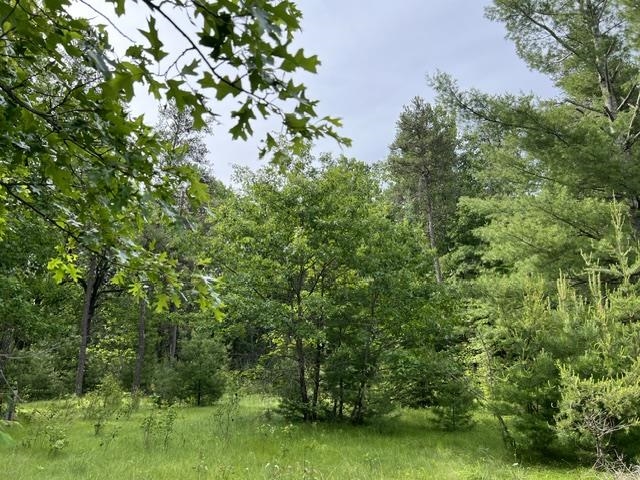 Property photo 36