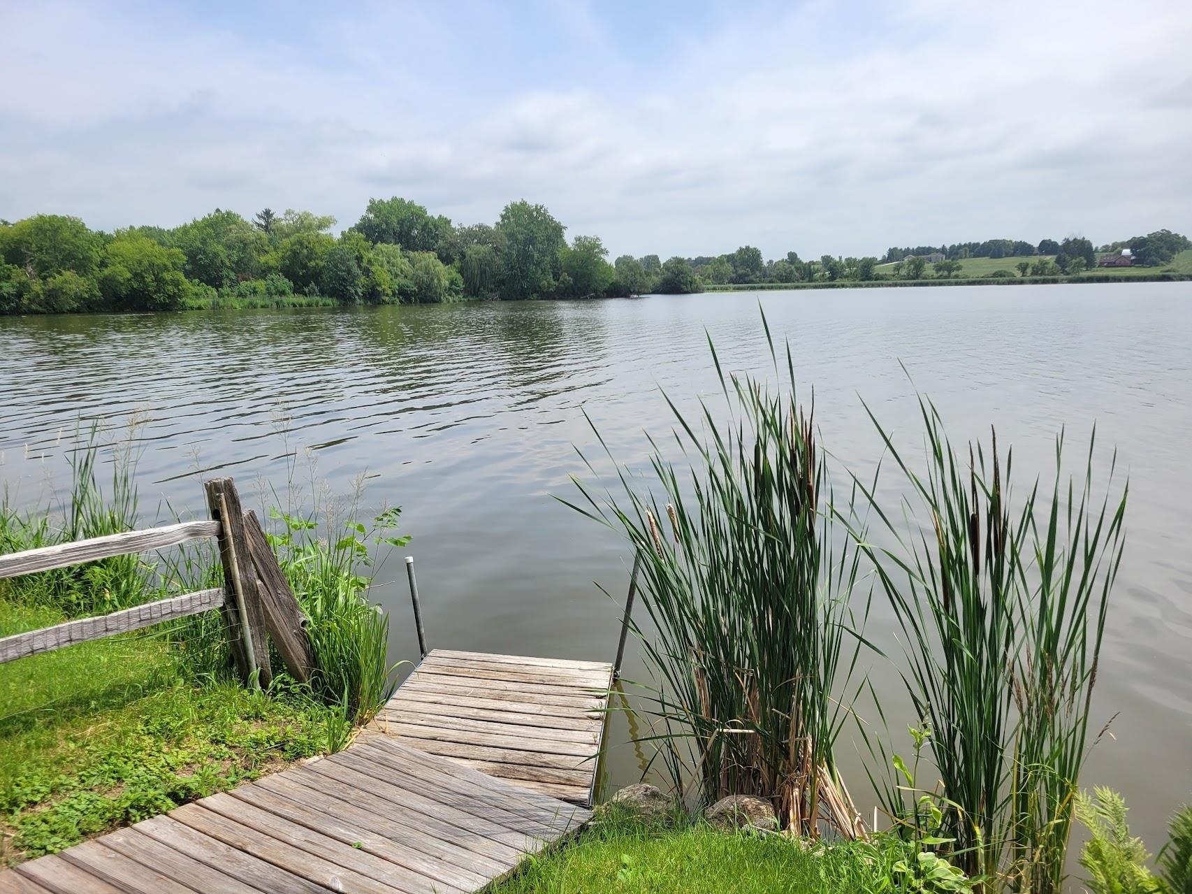 Property photo 42
