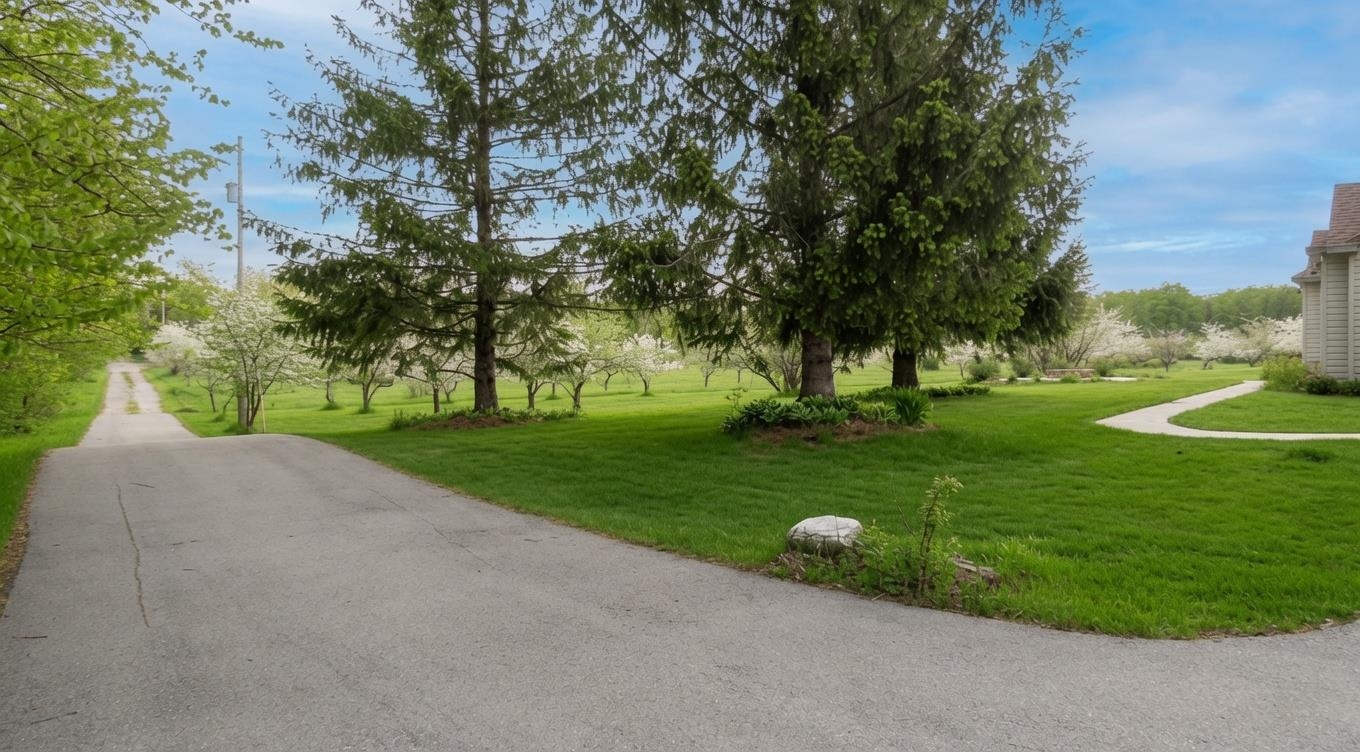 Property photo 44