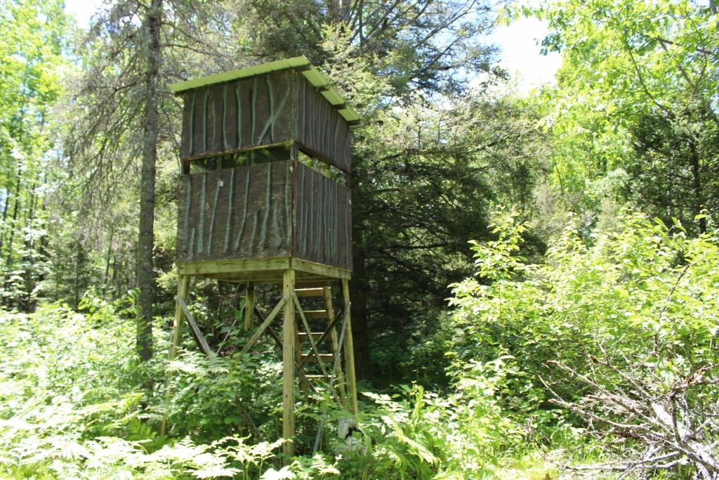 Property photo 50