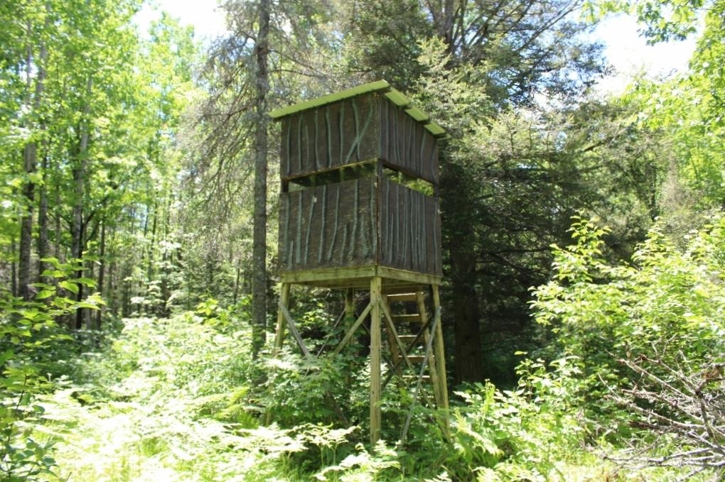 Property photo 58