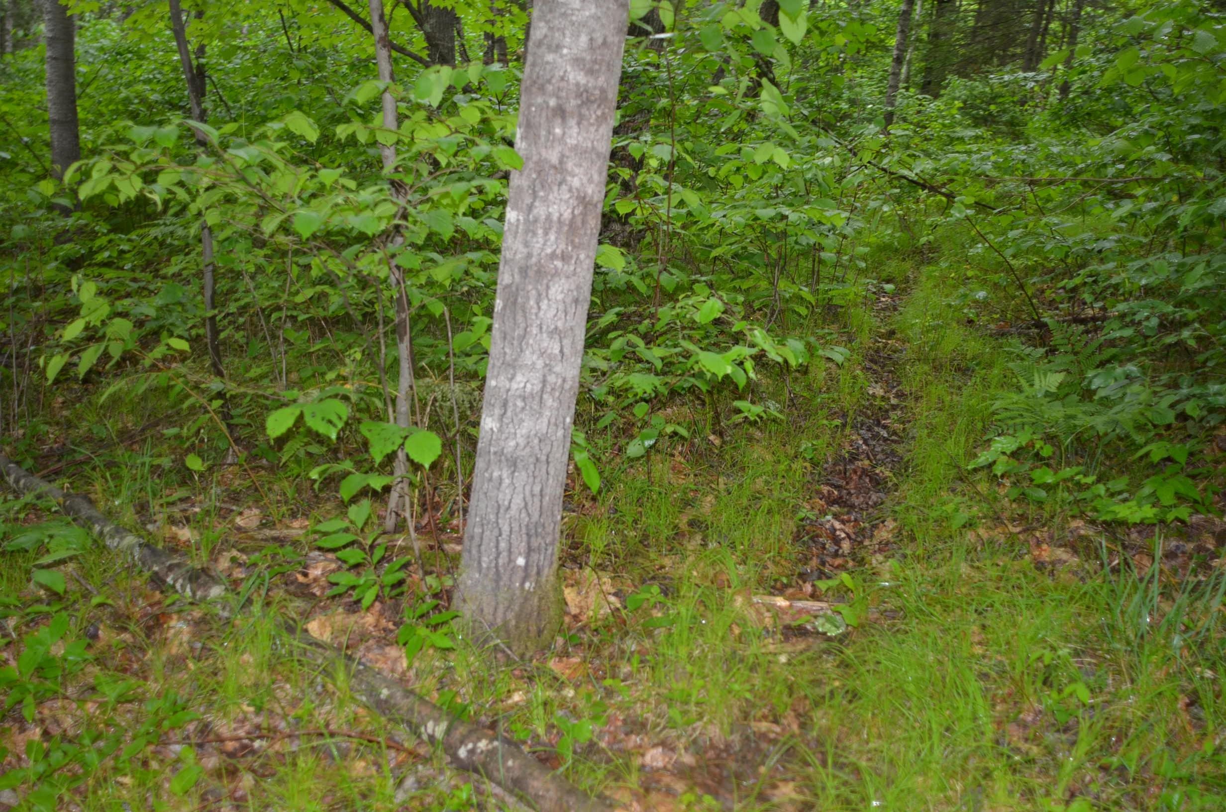 Property photo 28