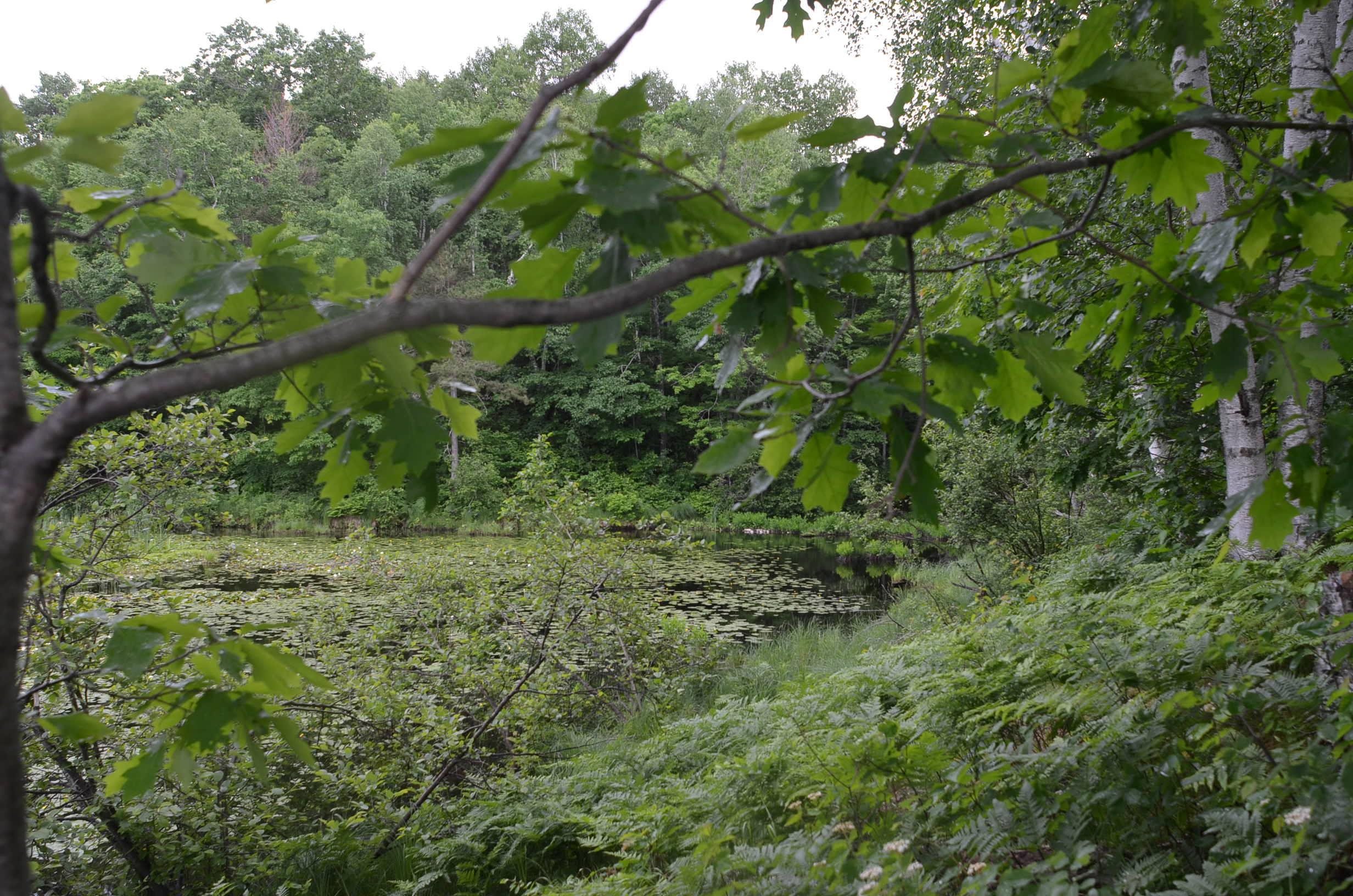 Property photo 32