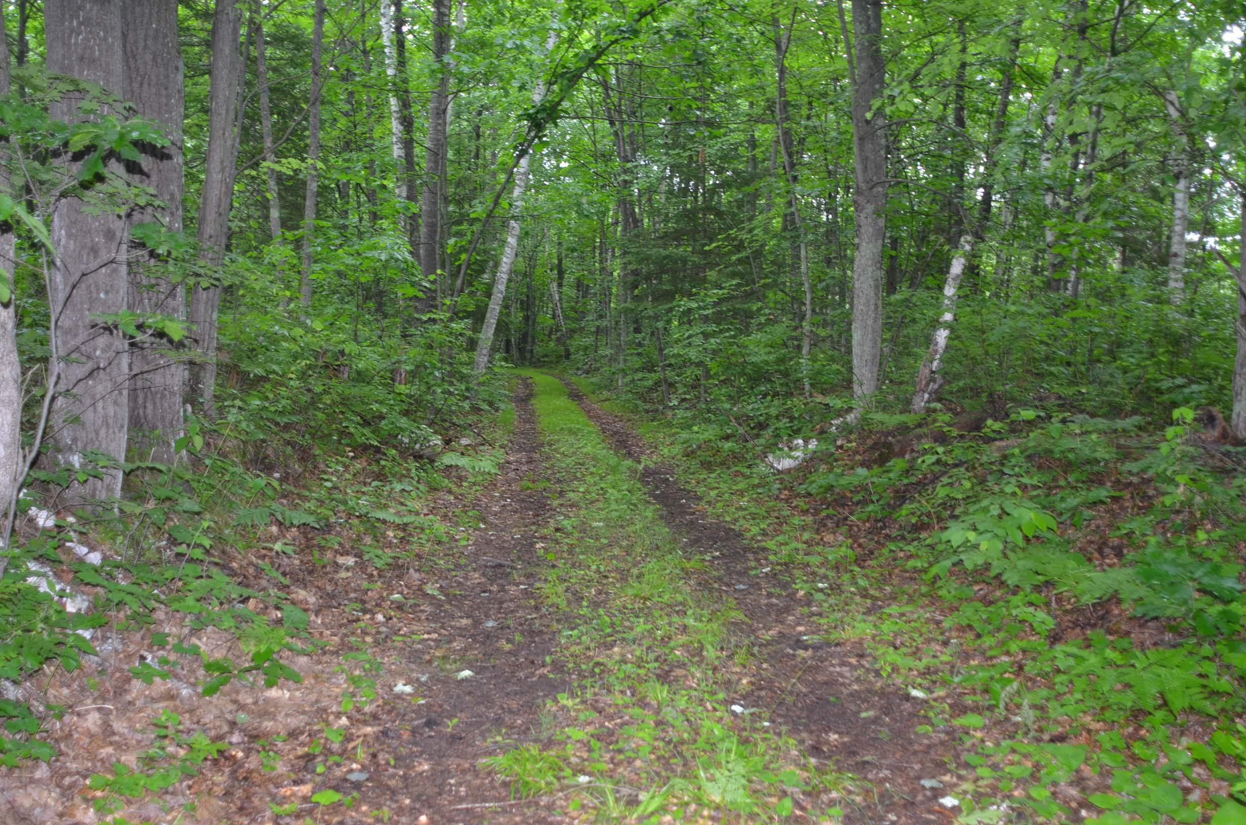 Property photo 35