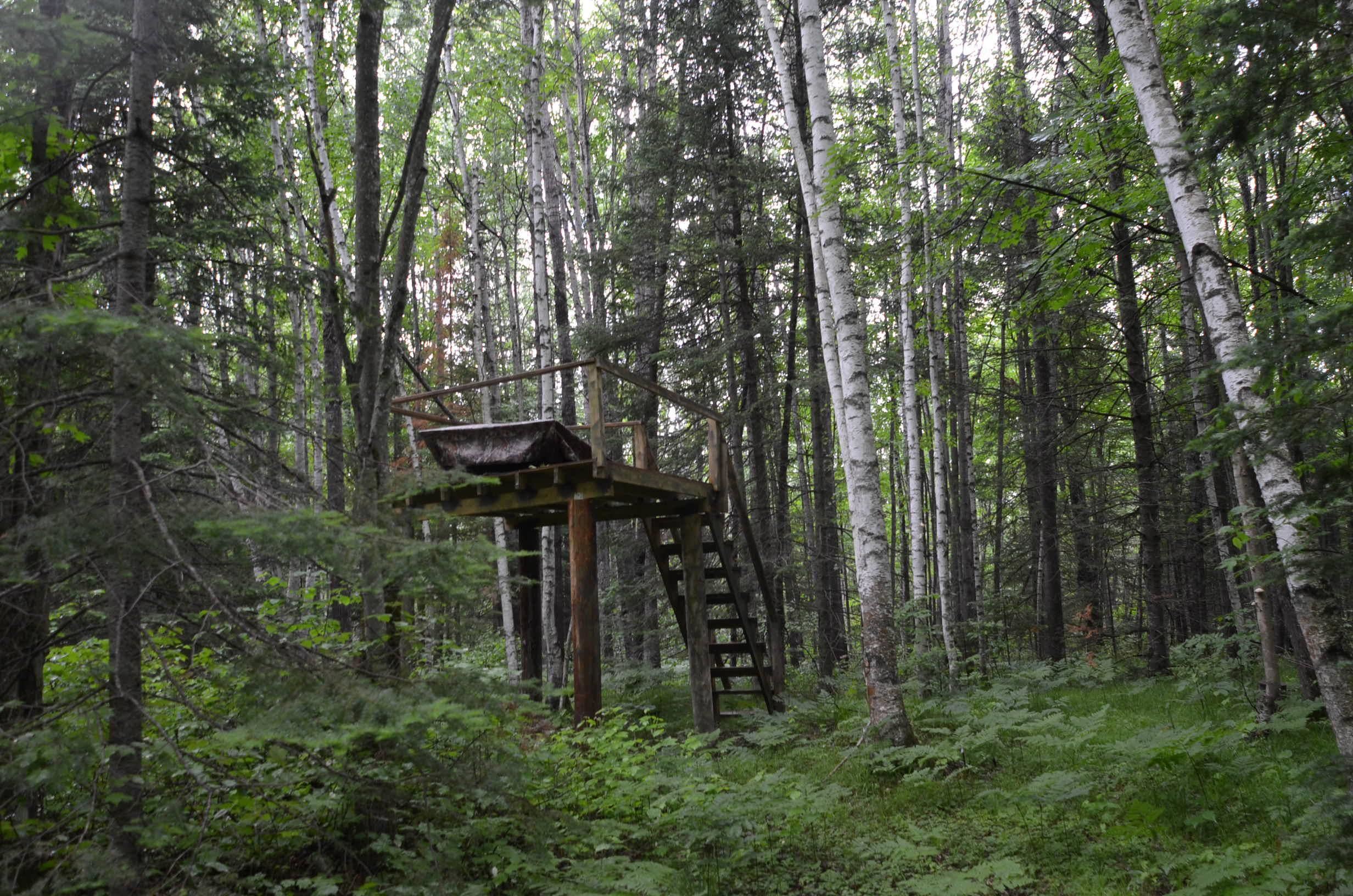 Property photo 40