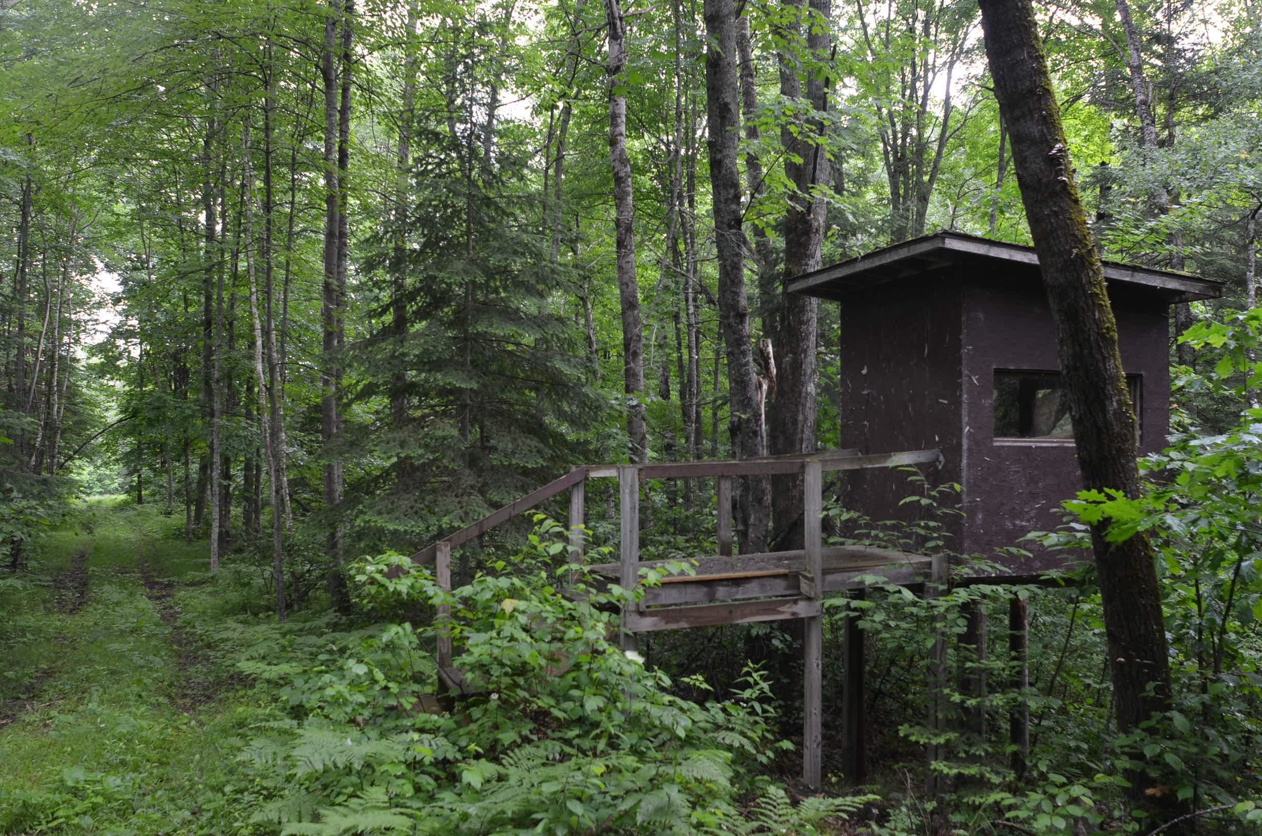 Property photo 41