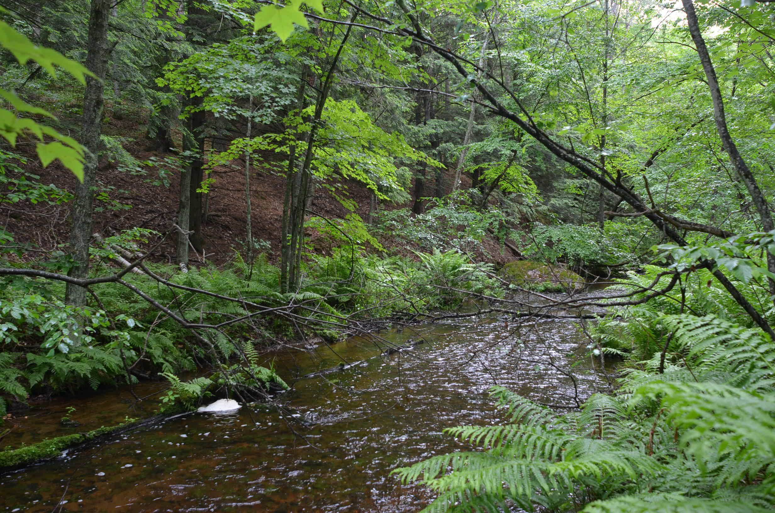 Property photo 62