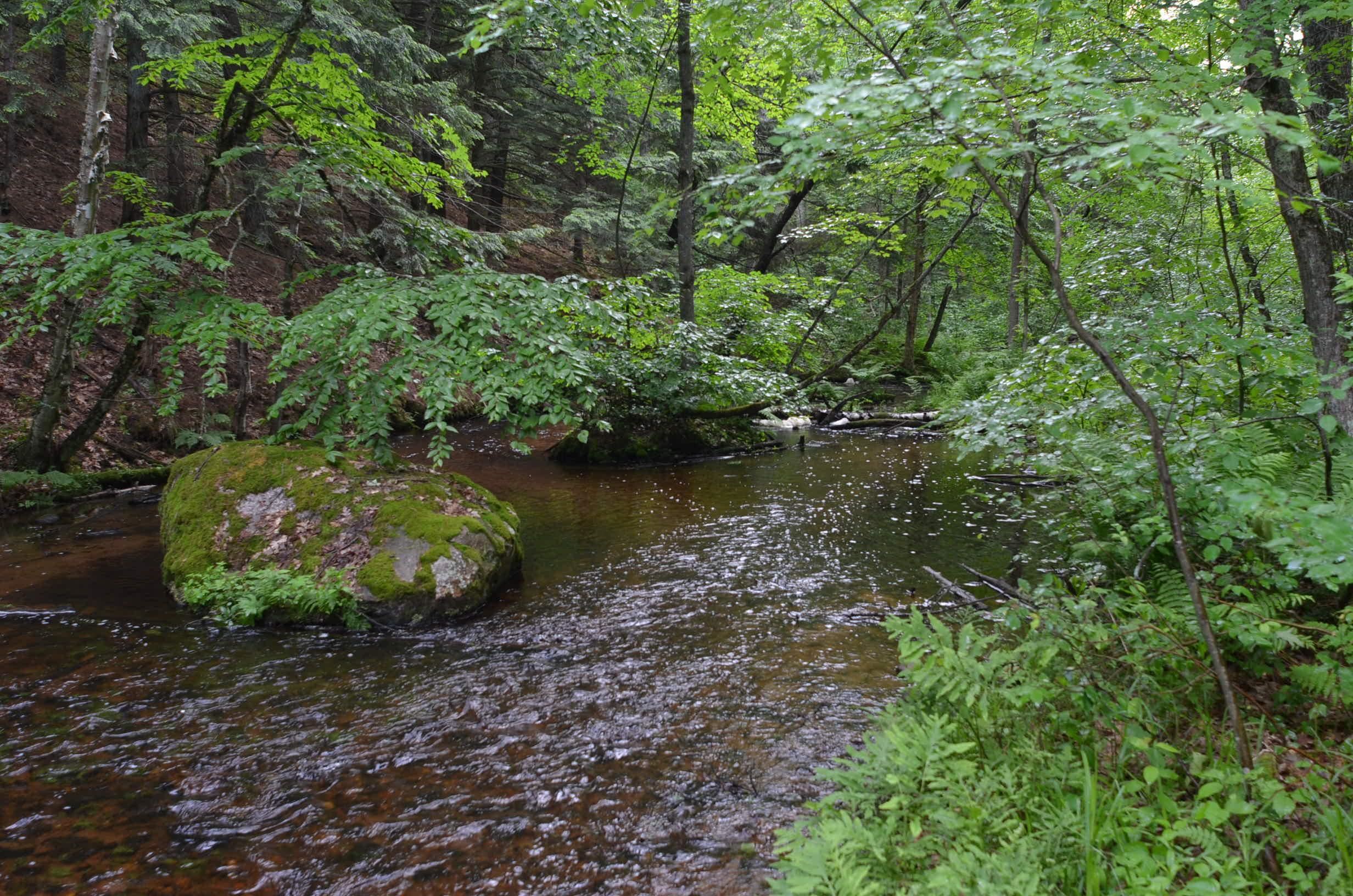 Property photo 64