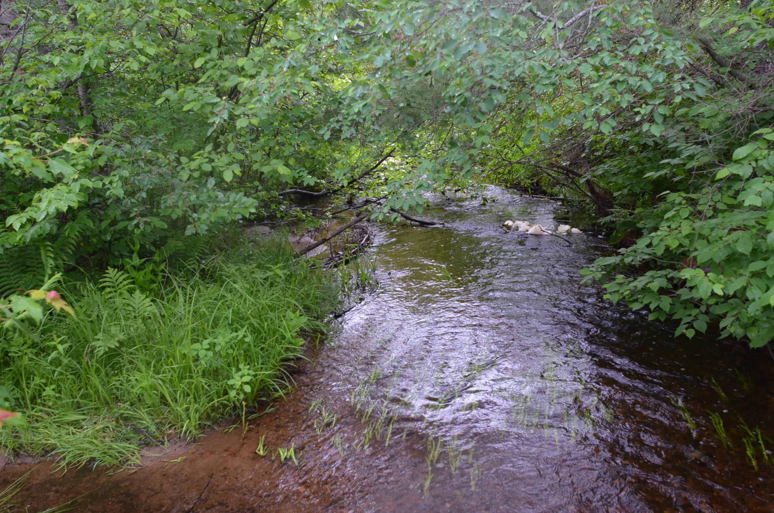 Property photo 67