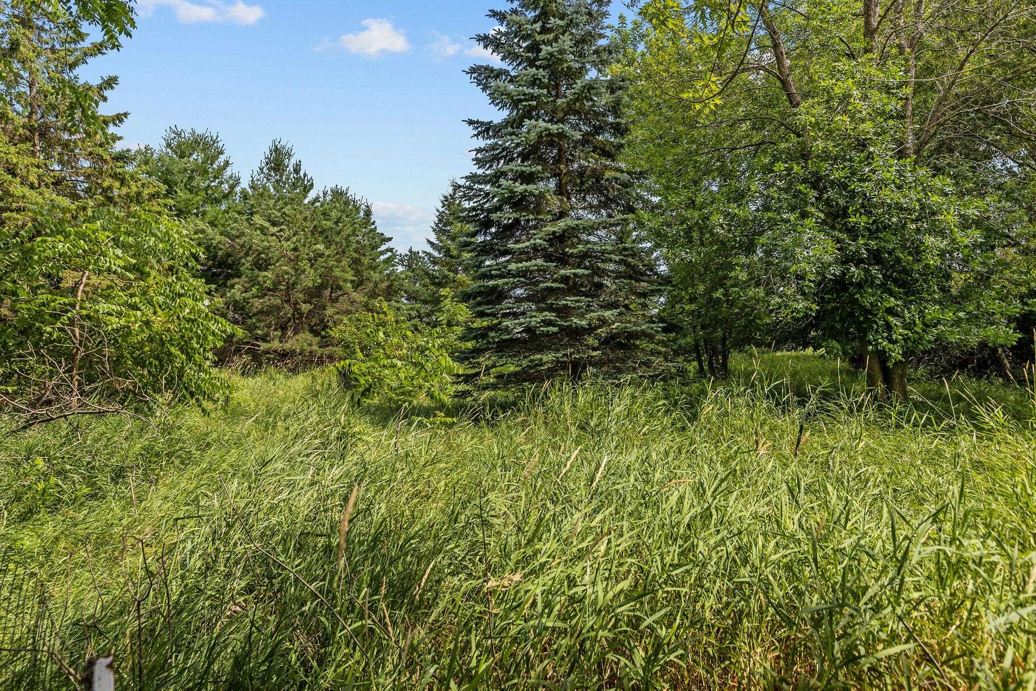 Property photo 60