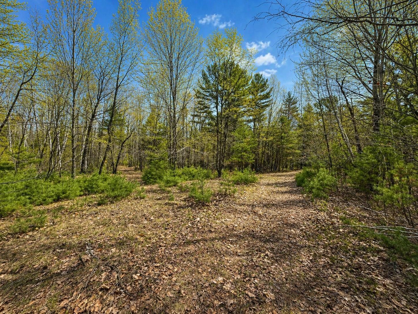 Property photo 72