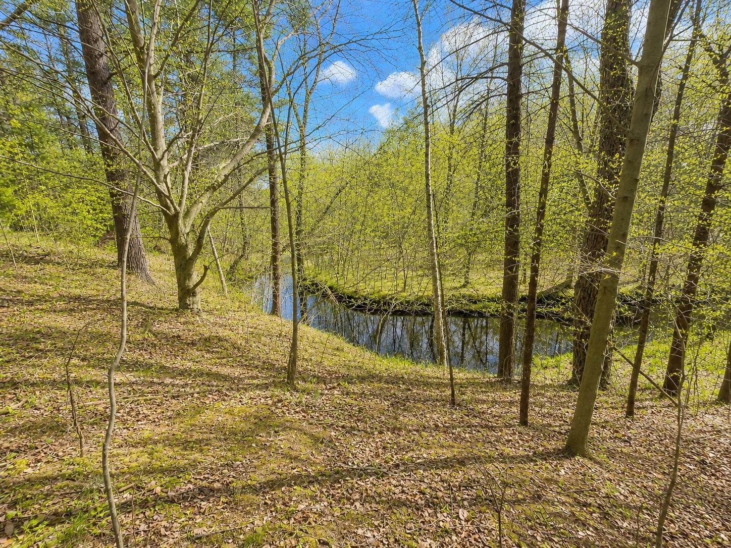 Property photo 76