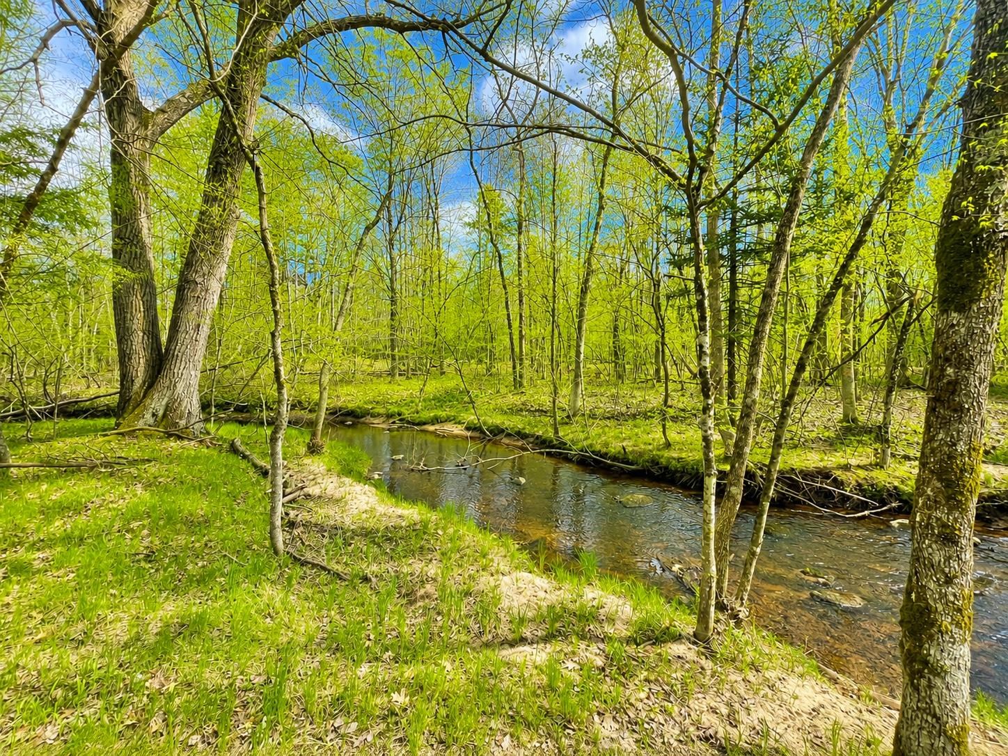Property photo 77