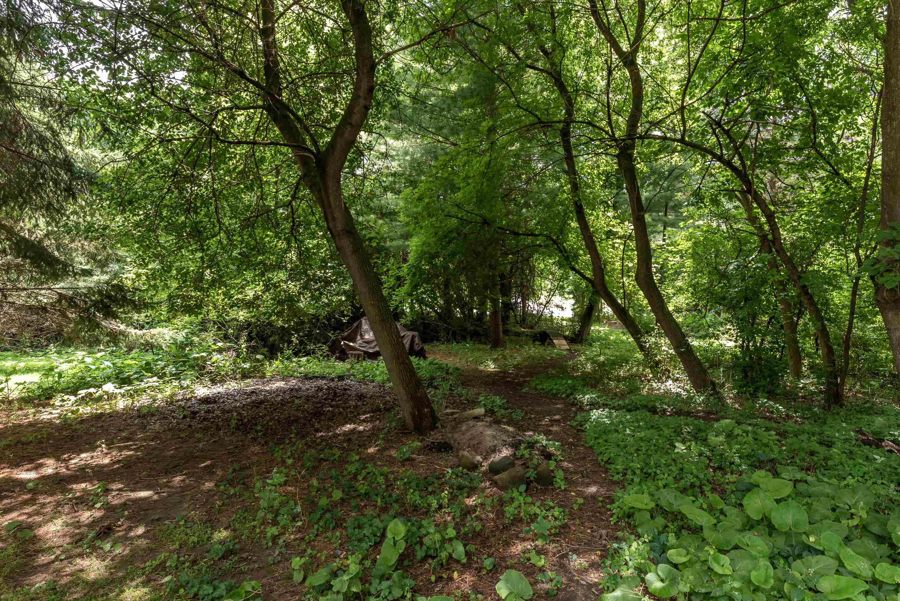 Property photo 48