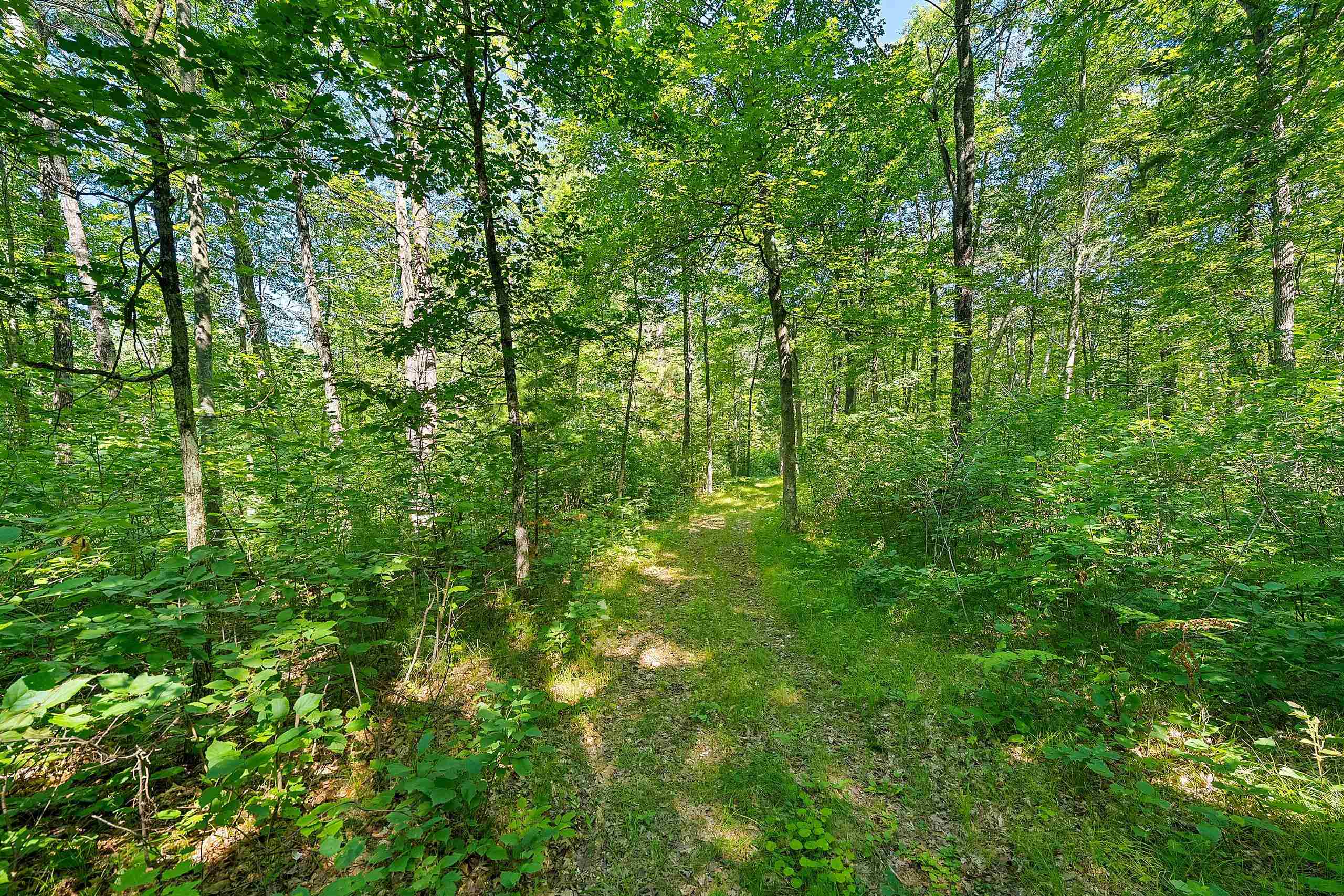 Property photo 40