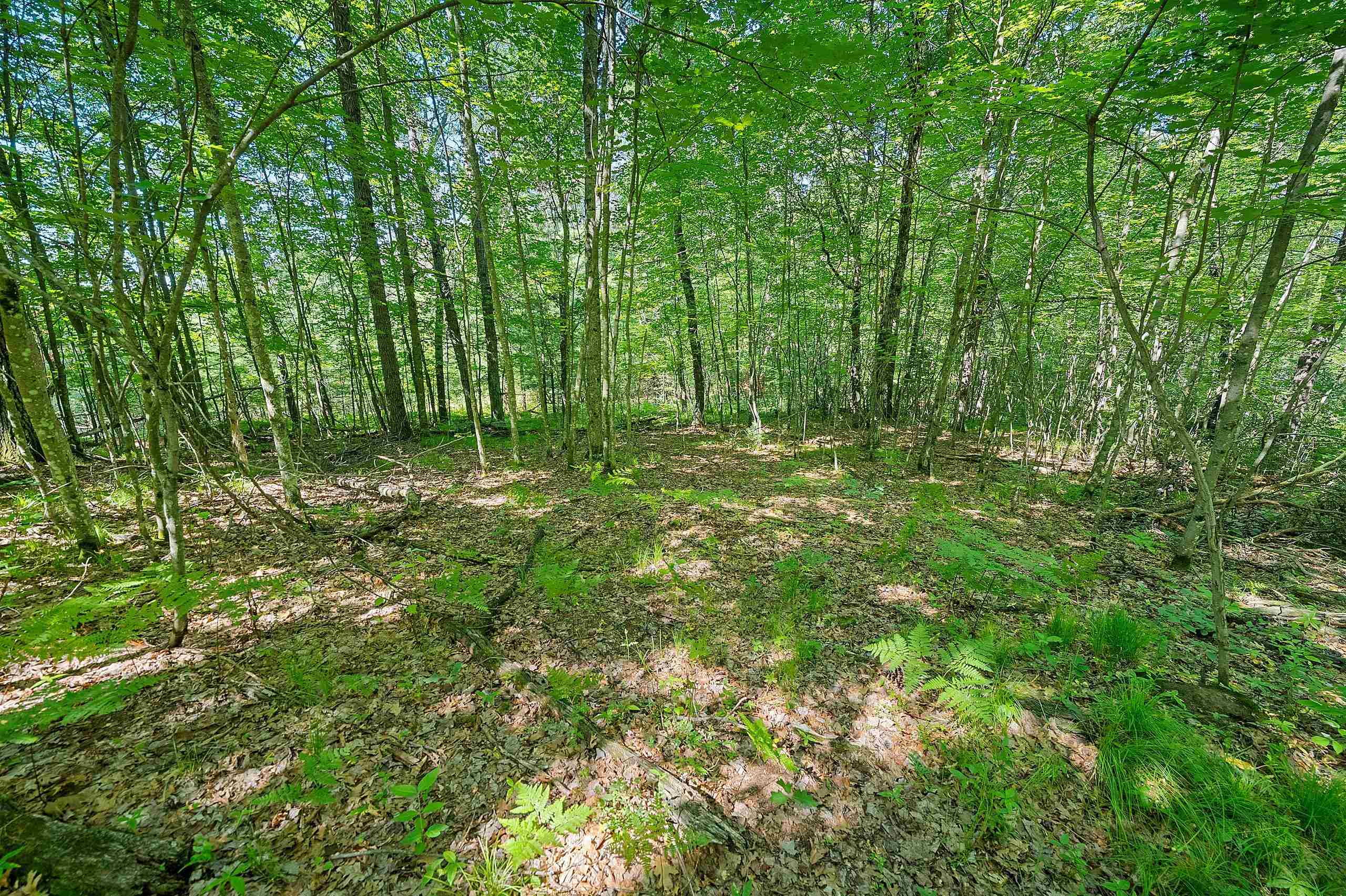 Property photo 41