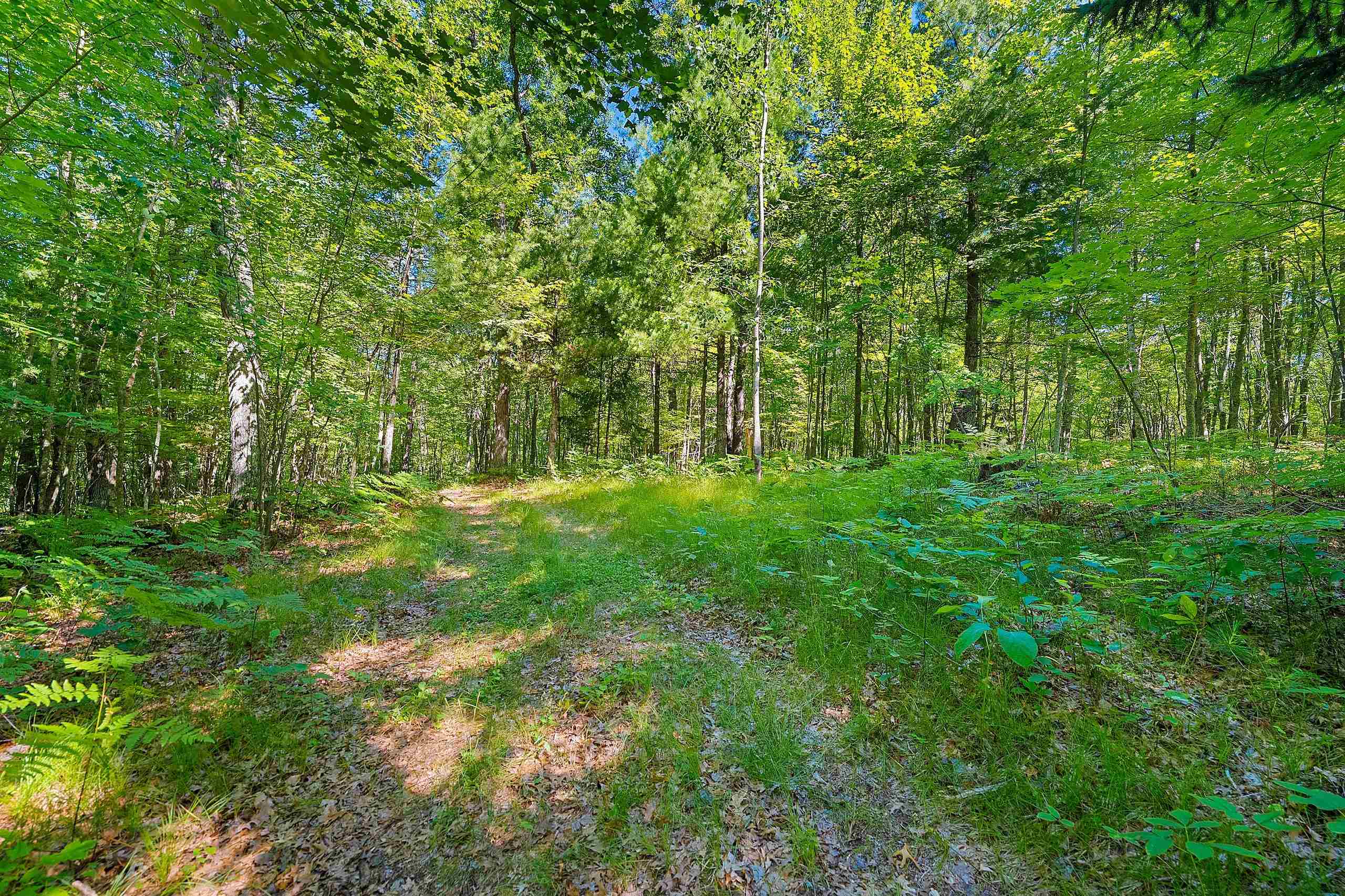 Property photo 42