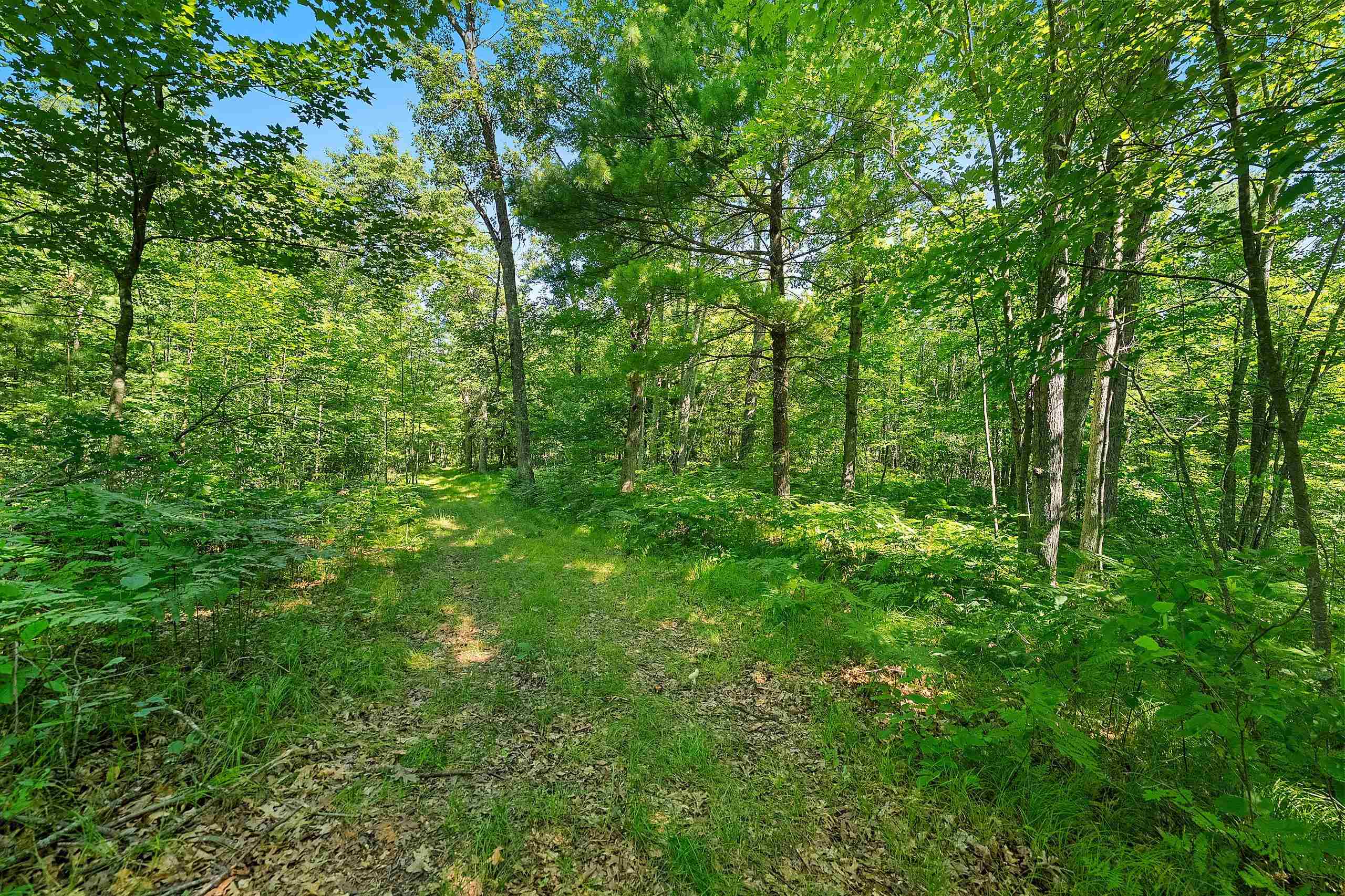 Property photo 43