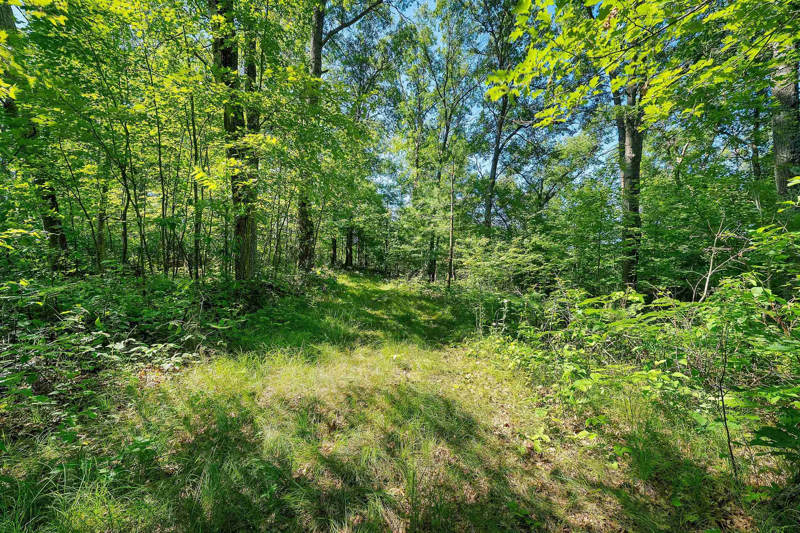 Property photo 44