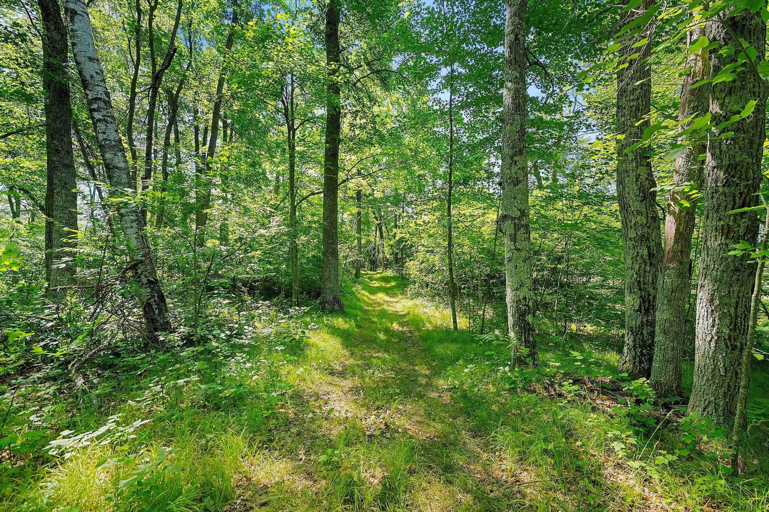 Property photo 45