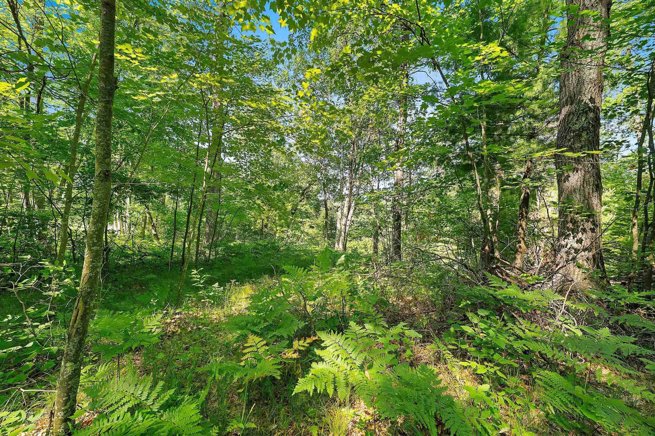 Property photo 46