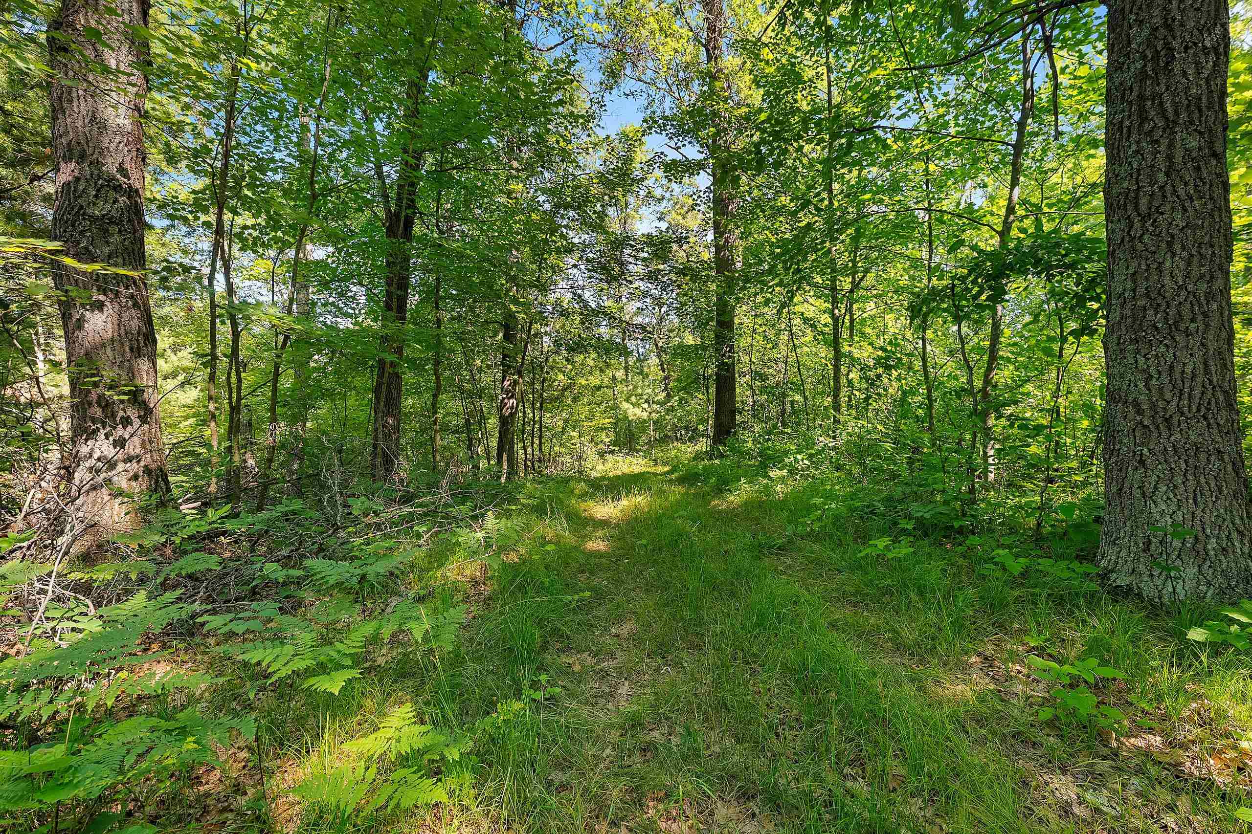 Property photo 47