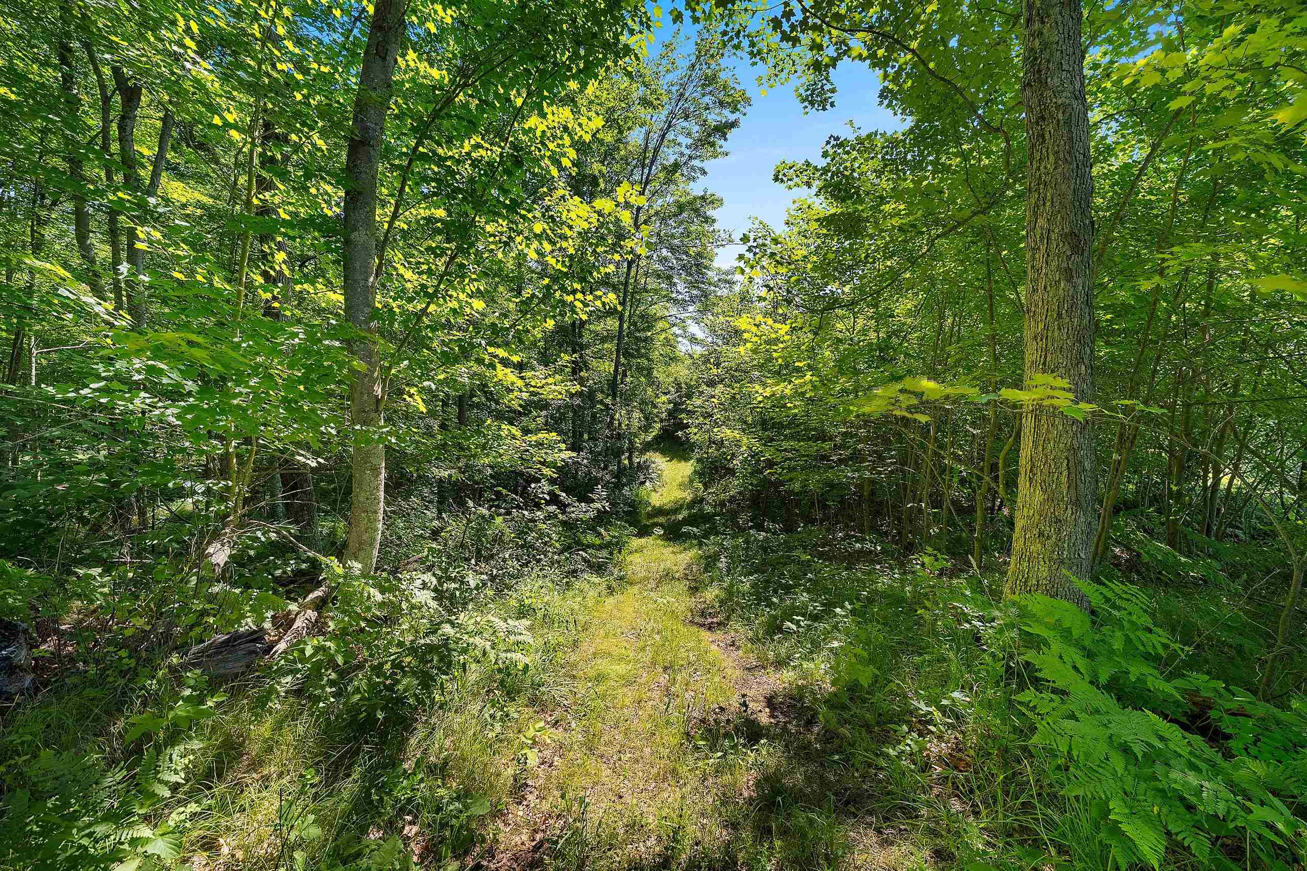 Property photo 51