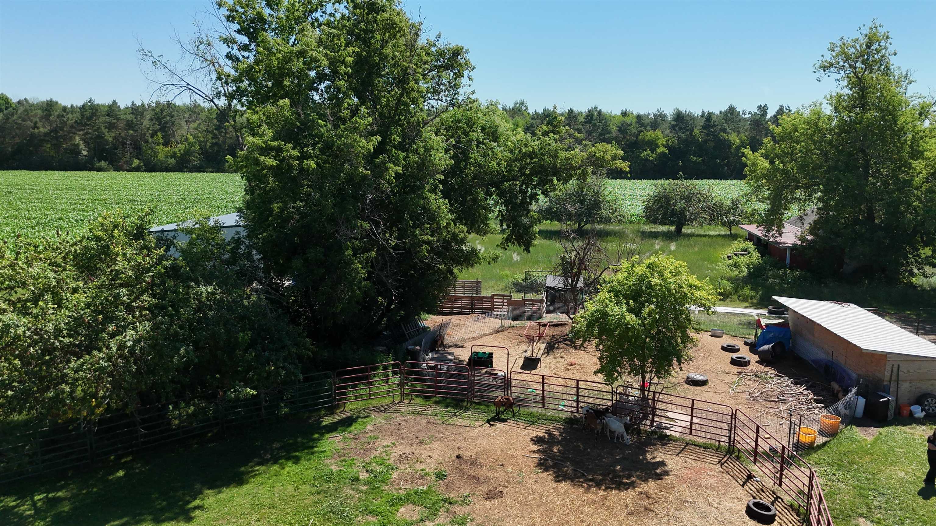 Property photo 12