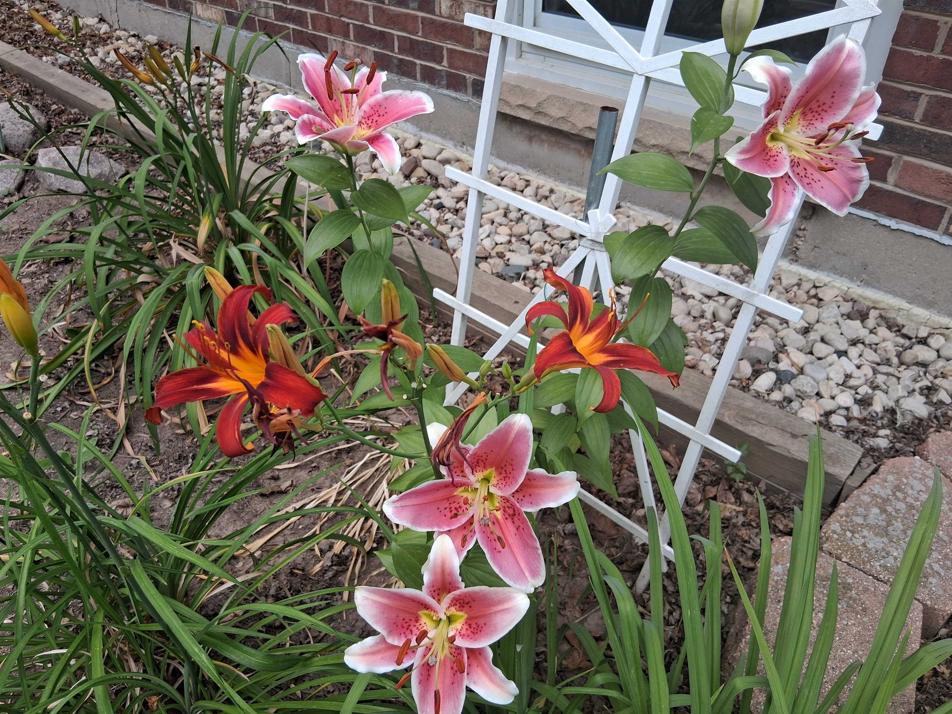 Property photo 33