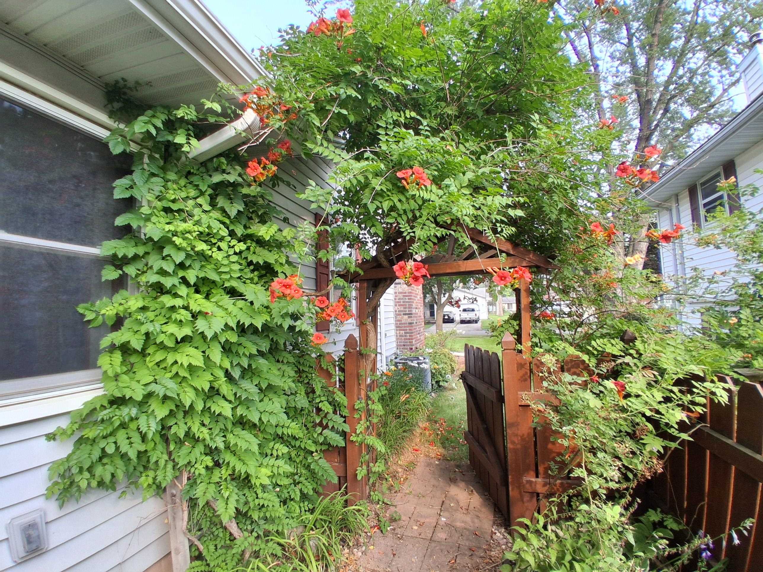 Property photo 34