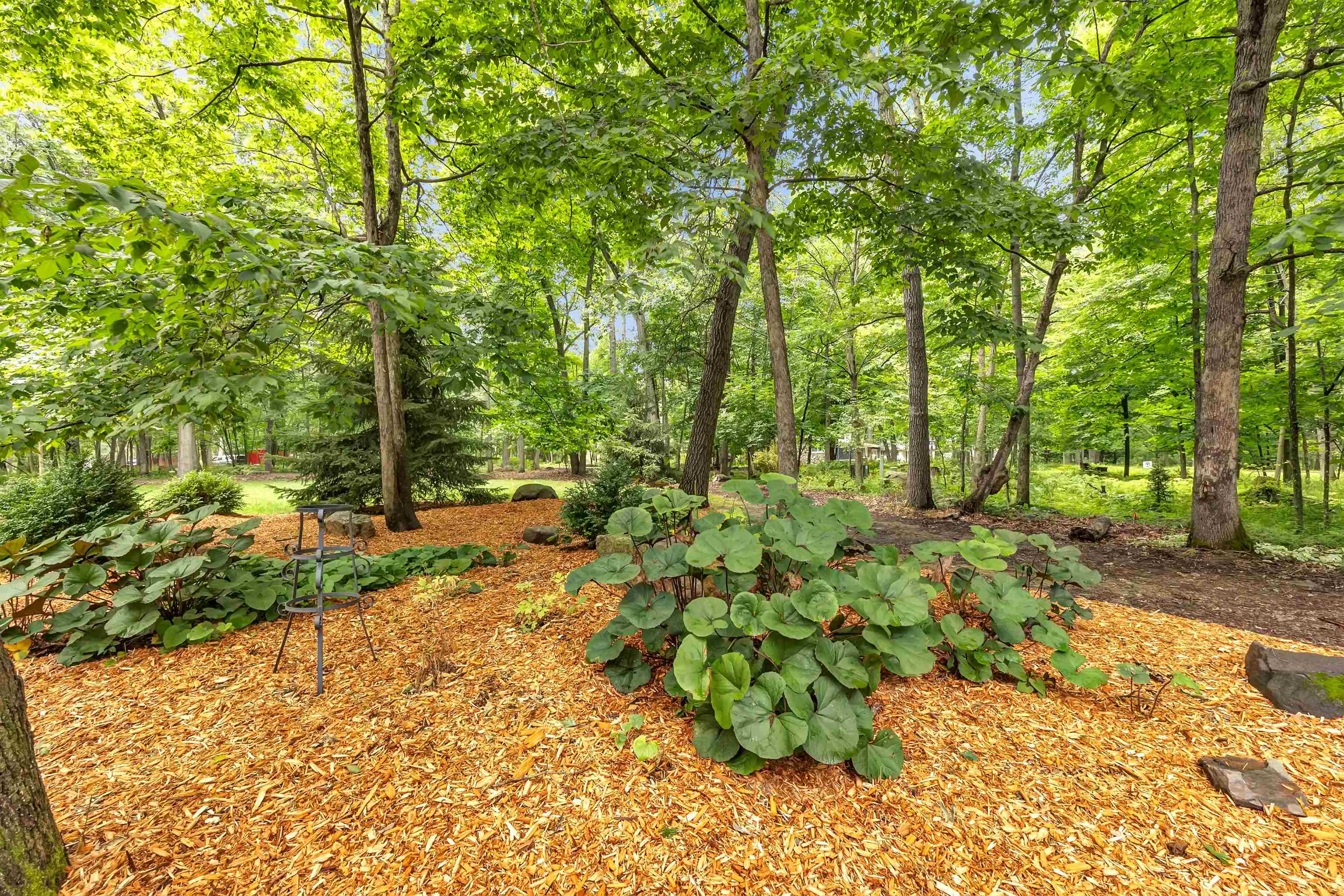 Property photo 46