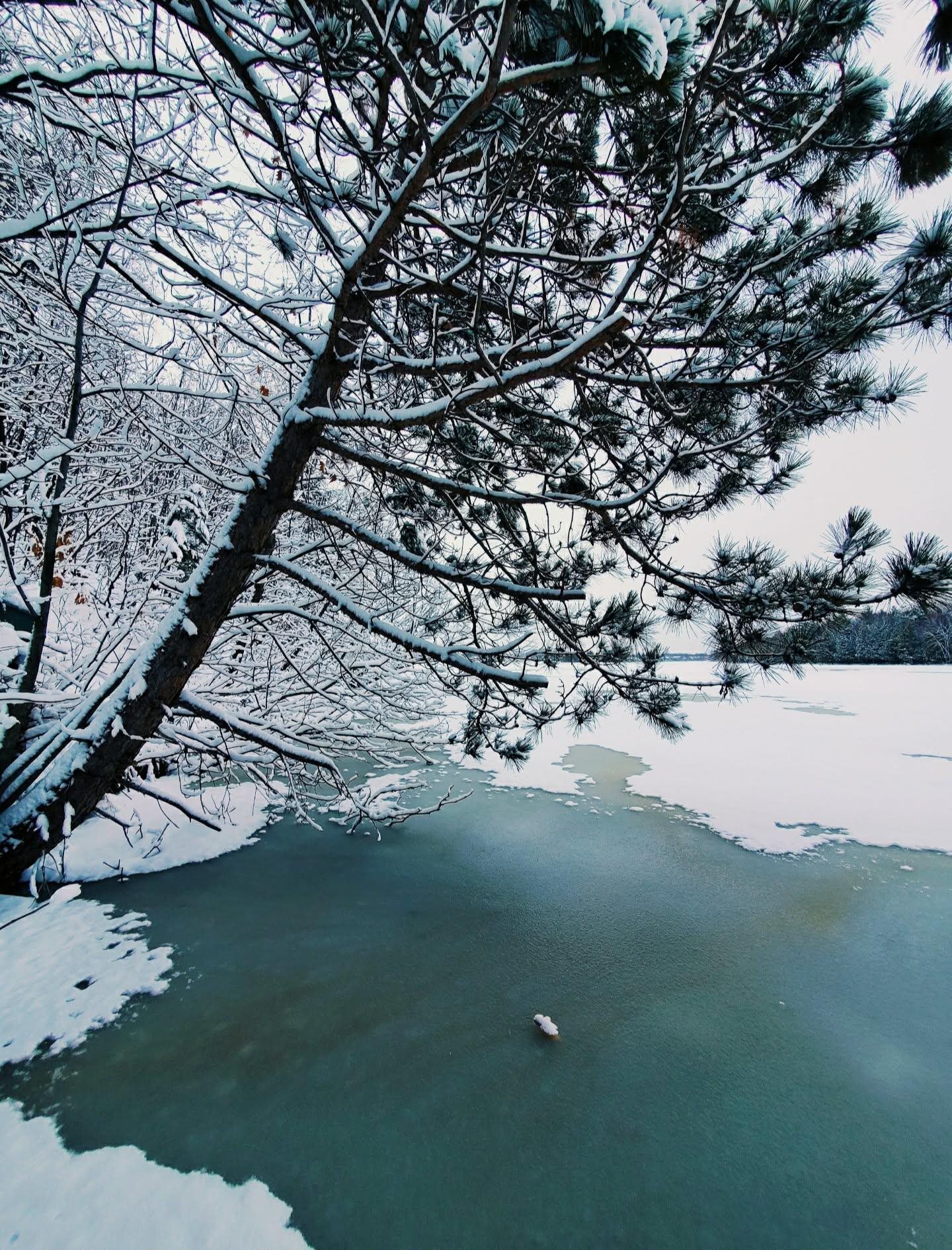 Property photo 42