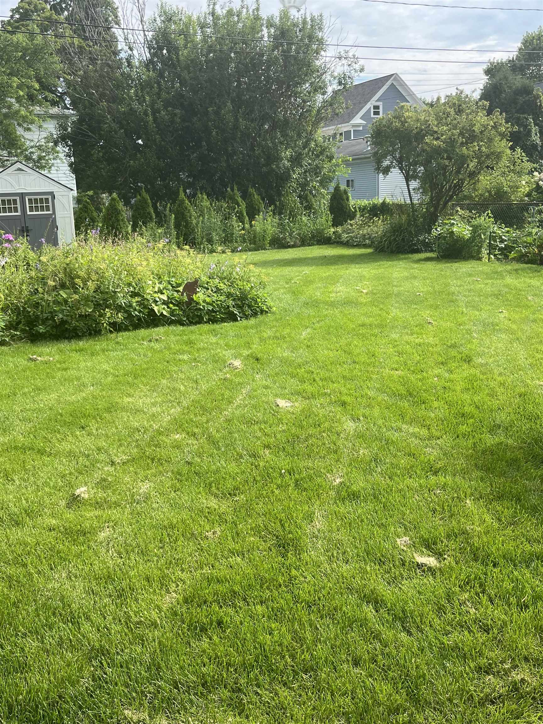 Property photo 60